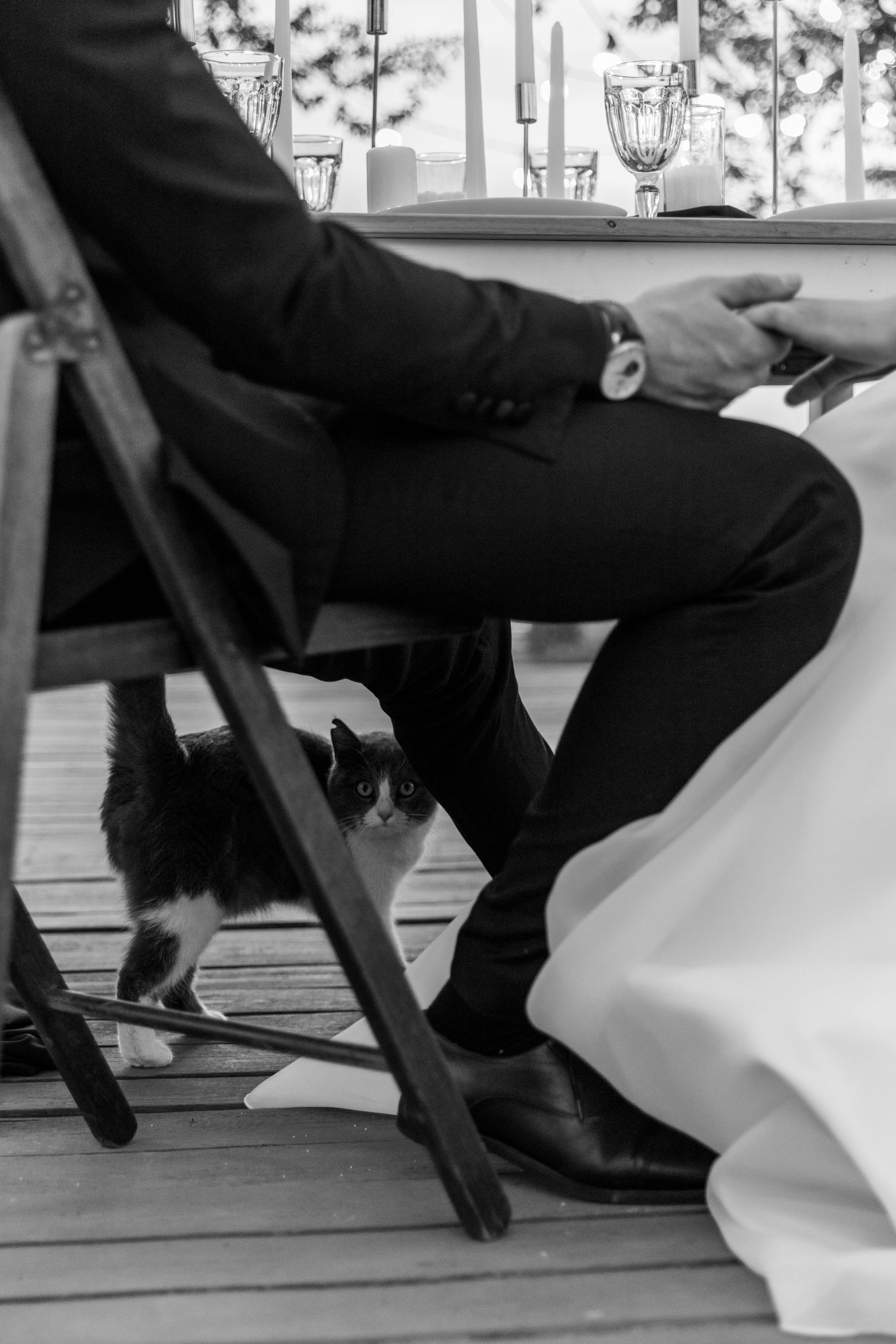 Свадьбы. Фотограф Лиходедова Анастасия