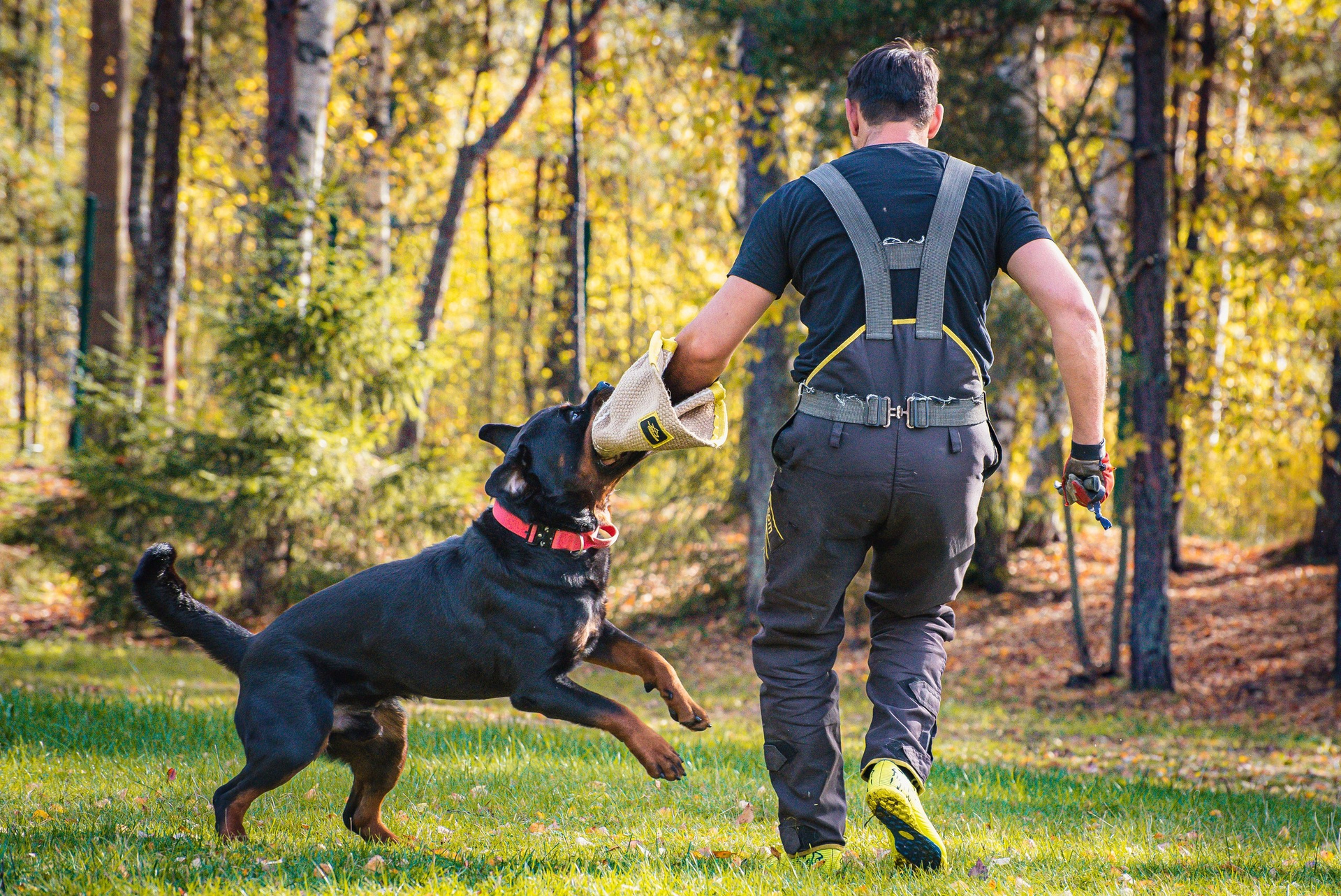 Видеограф Нижний Новгород. Фотограф Макс Огурцов в Нижнем Новгороде