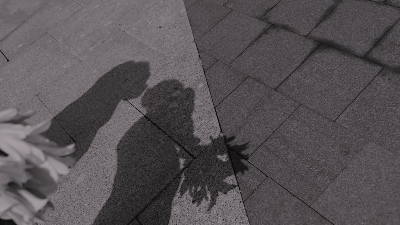 Свадебный видеограф в Москве и Питере Алевтина Украинцева