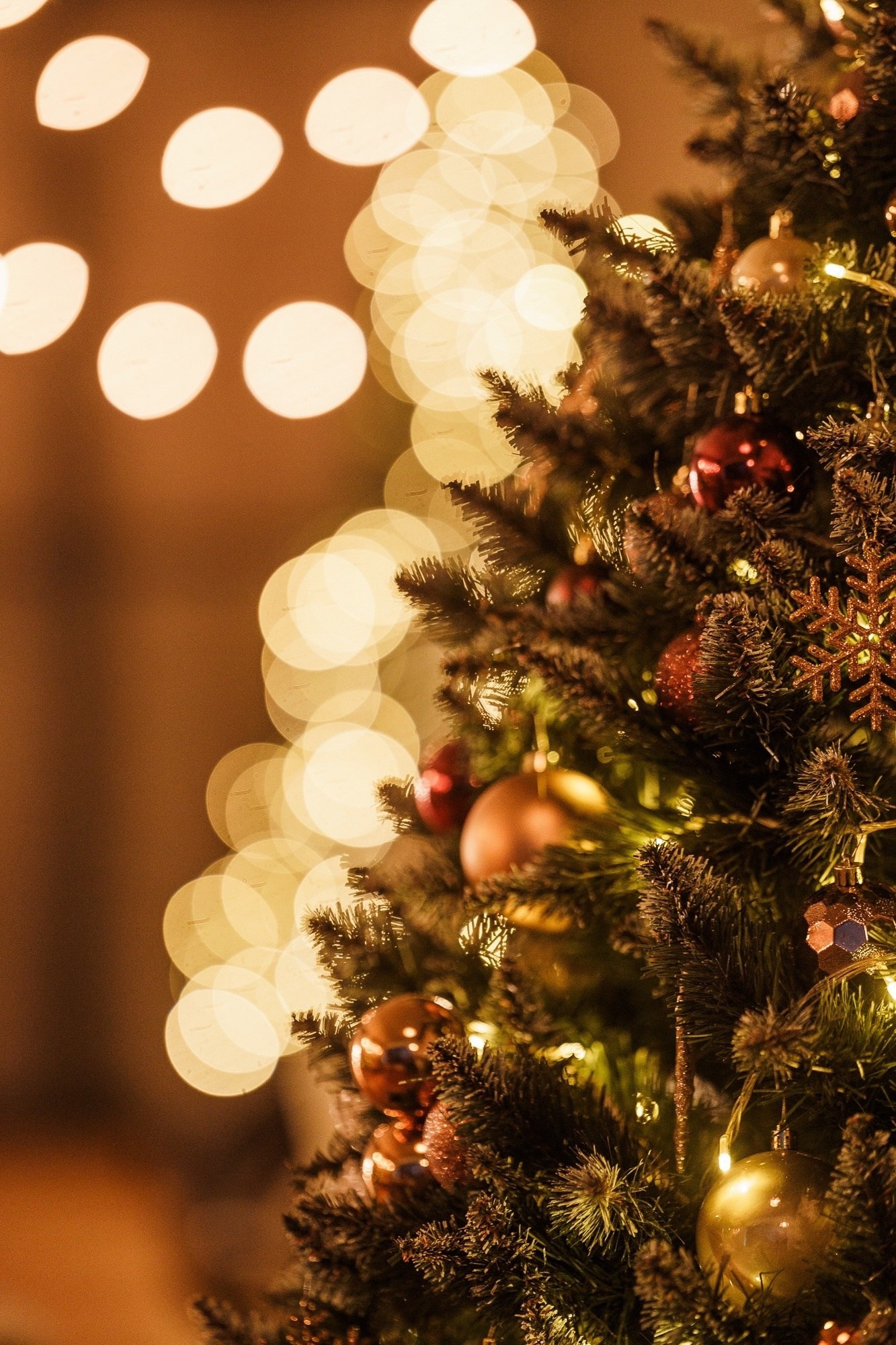 Новогодние Студии Тамбова. Фотограф г. Тамбов г. Воронеж Богдан Тарасов