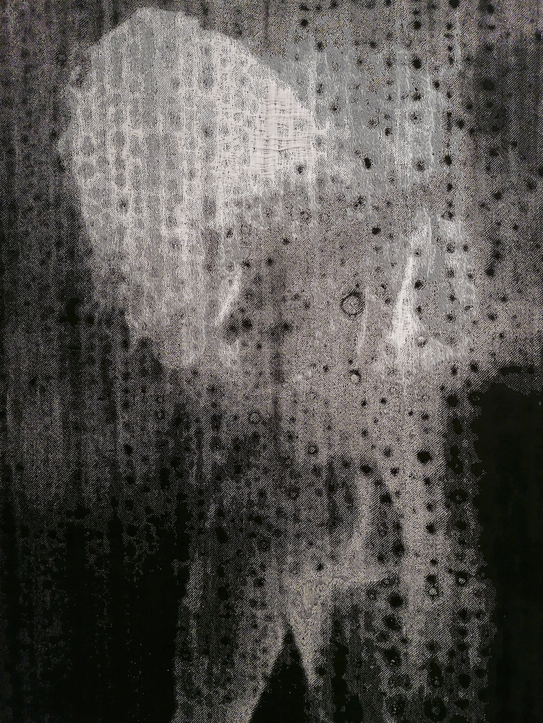 Проект «Black Cloud» Джули ван дер Ваарт. Private image