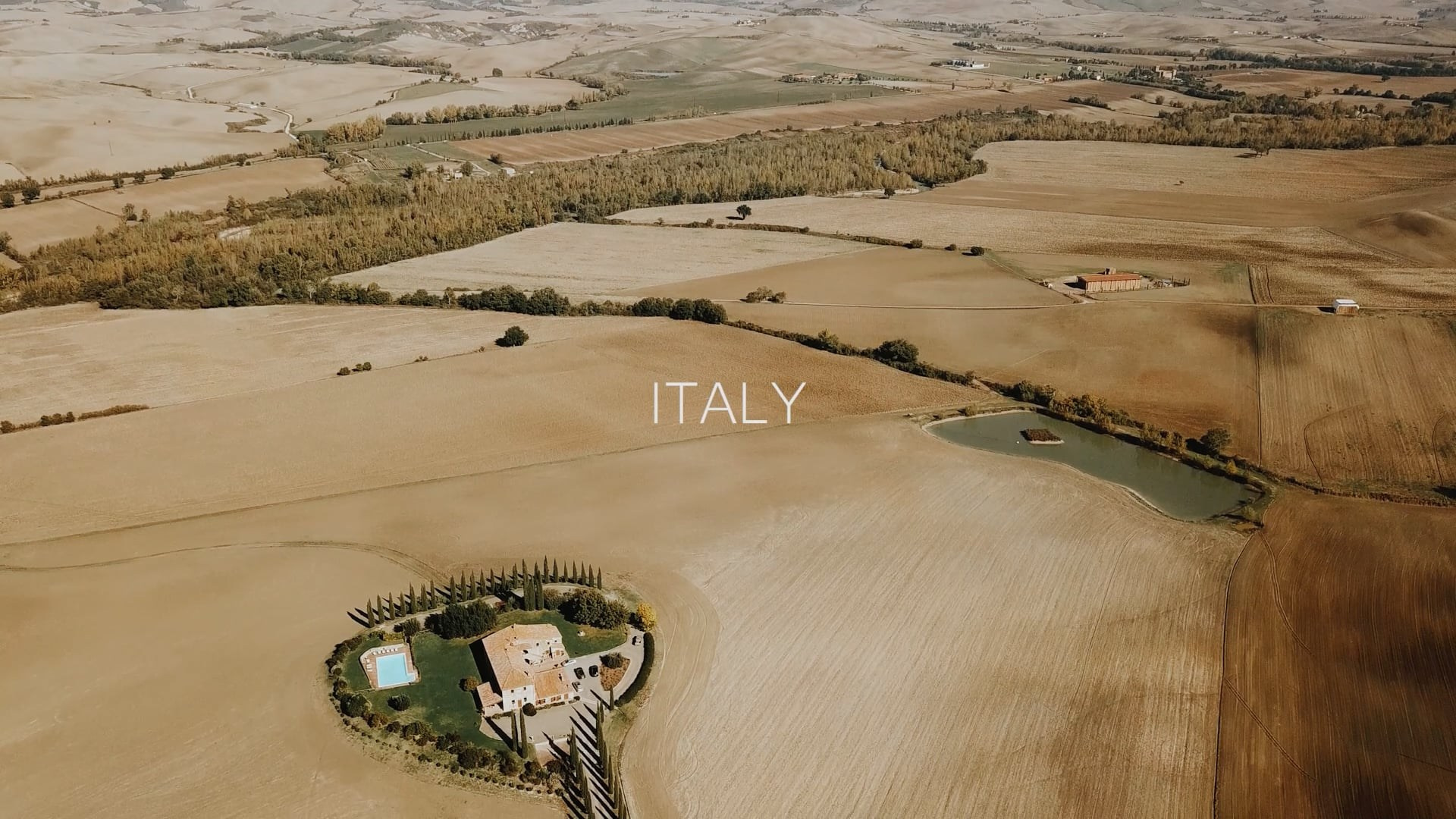 Видео клипы. Свадебный видеограф Кот Андрей