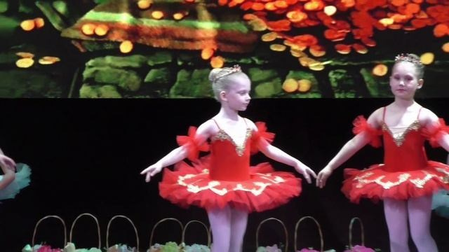 Концерты/открытые уроки. Детская и семейная фотосъемка Наталья фотограф и видеооператор Королёв