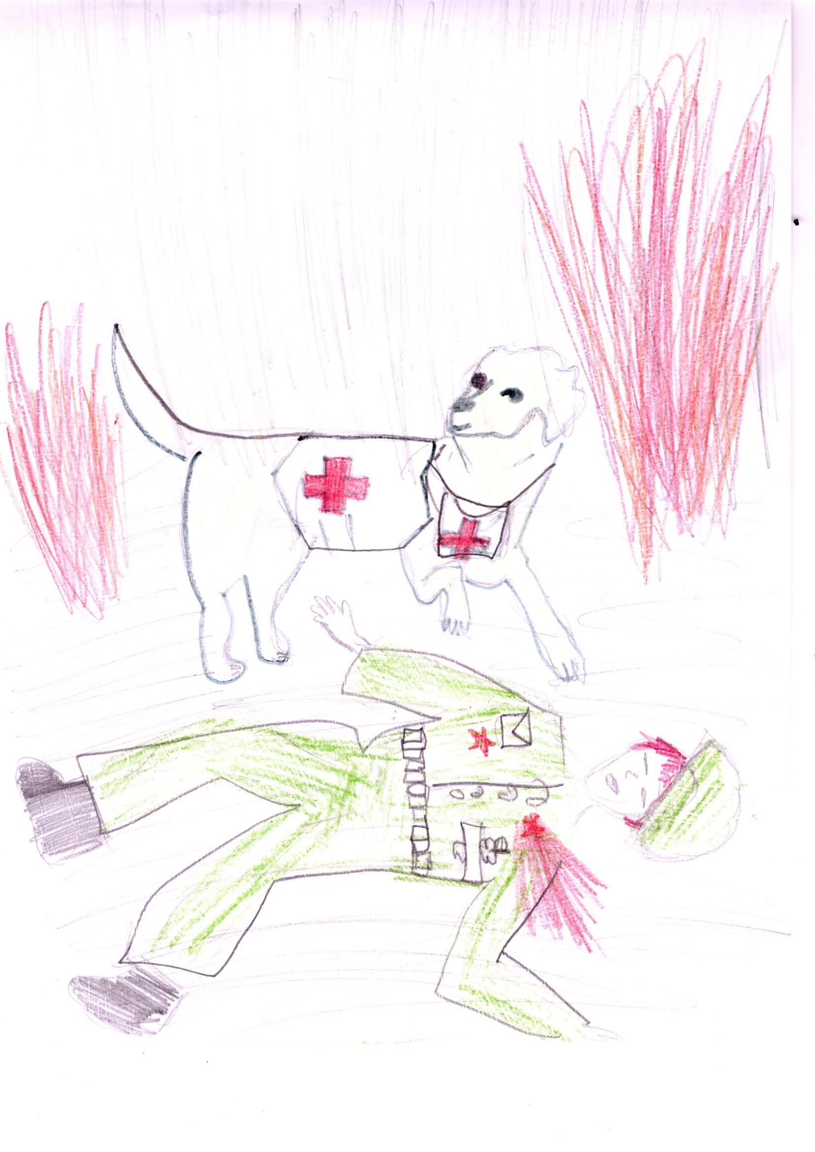 Мероприятия для юных кинологов — «Помним их имена», «Портрет фронтовой собаки». НРОО КЦ "Собаковод"