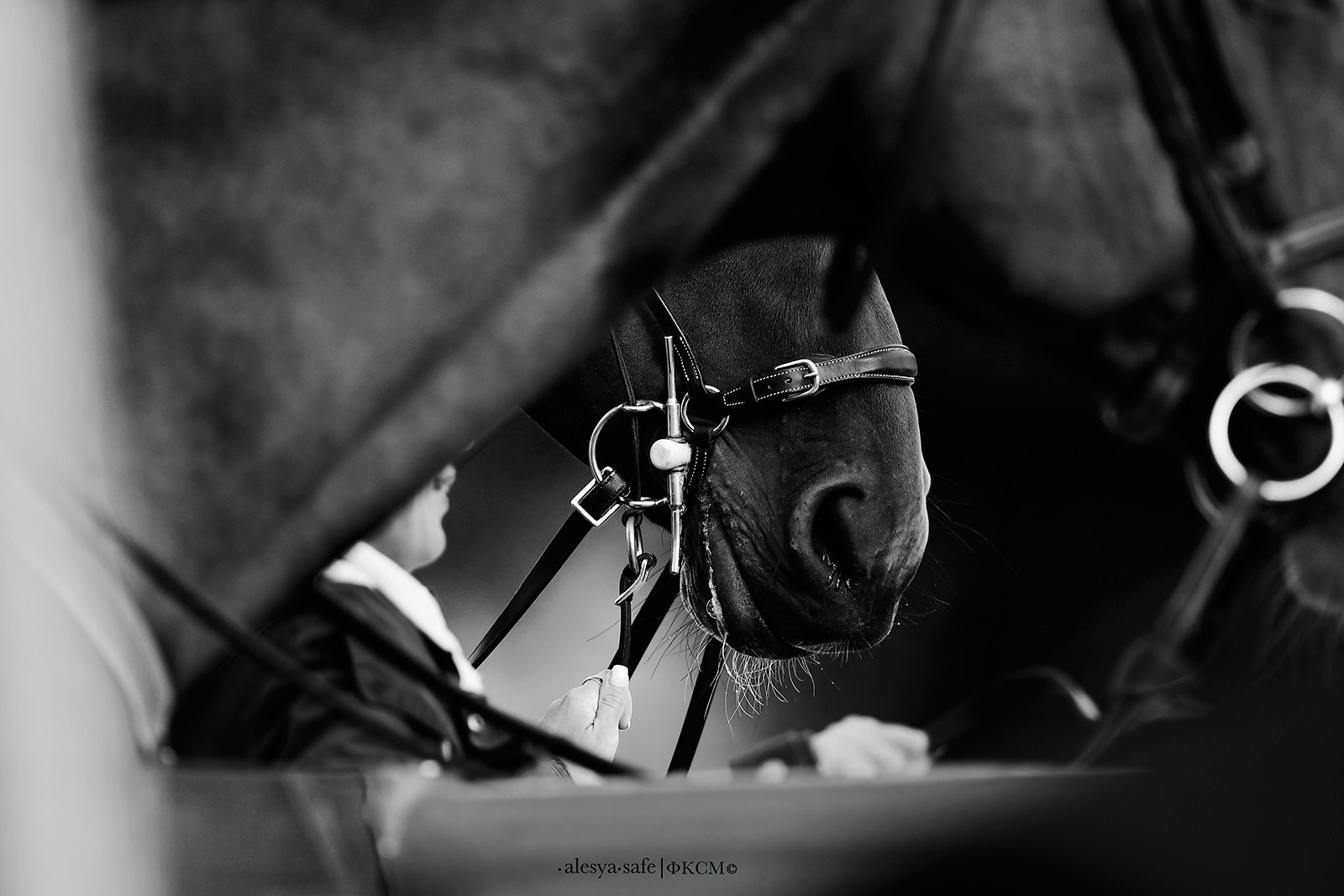 Кск Битца. Конный фотограф Alesya Safe