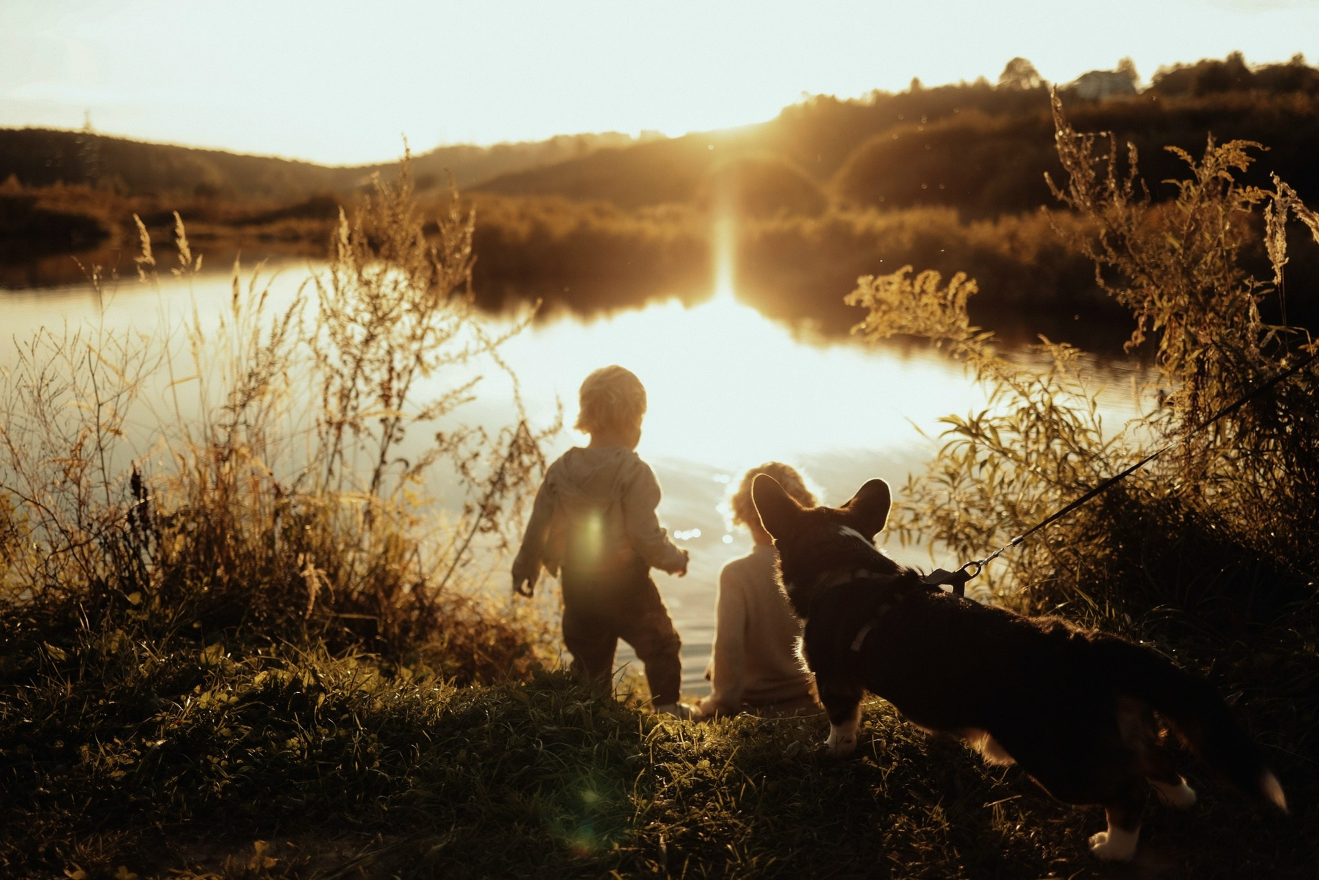 Видеопрактика для фотографов и мам — 01.07.2026. Фотограф и видеограф Елена Лисина