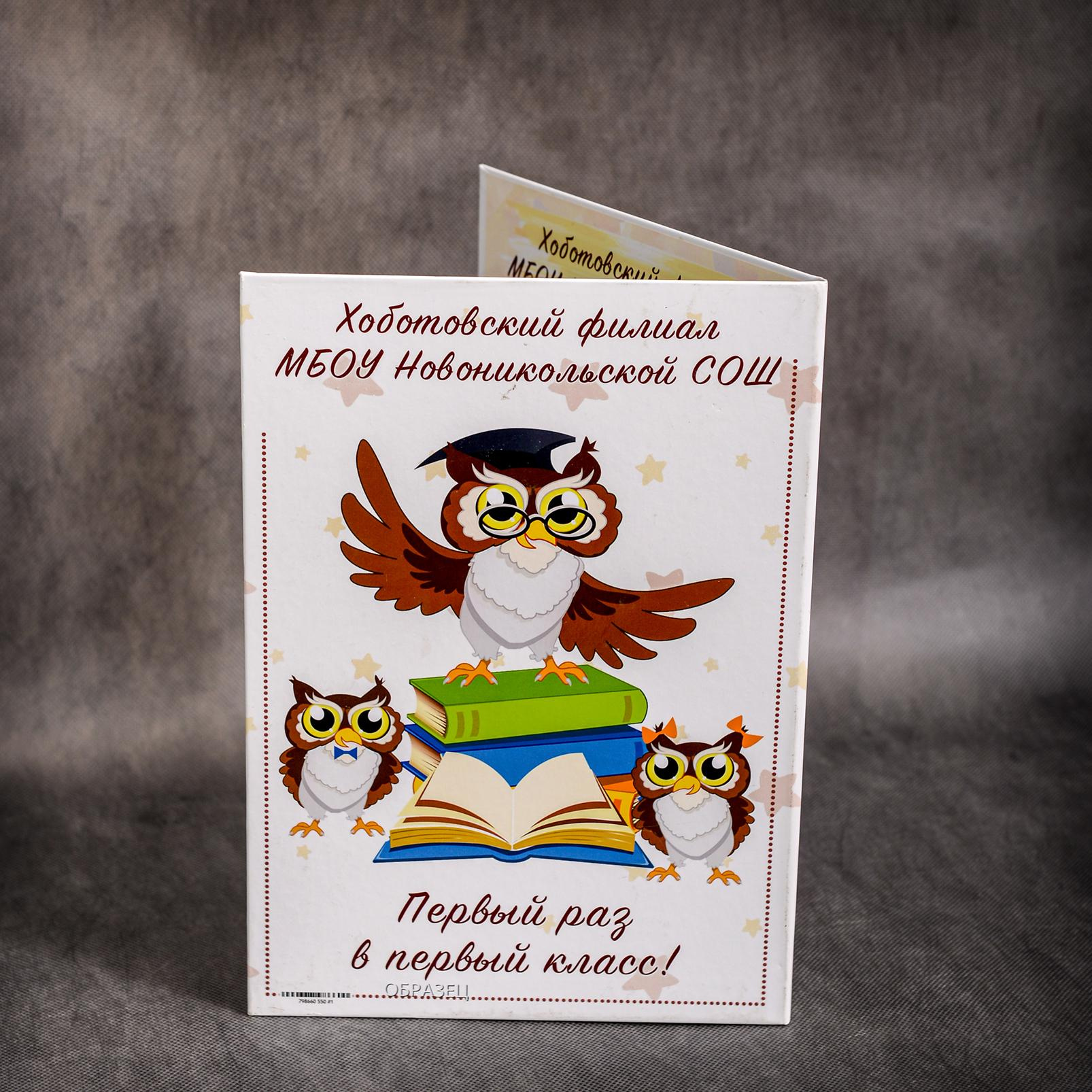 Альбомы. Школьные фотоальбомы в Мичуринске