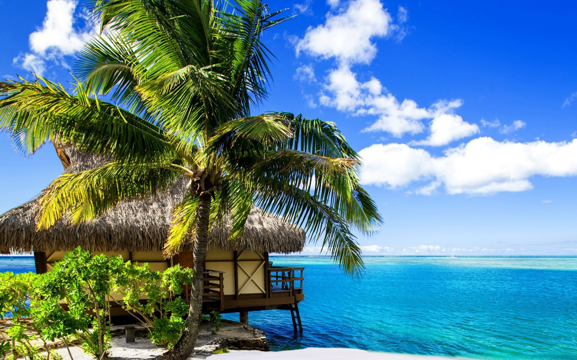 Проекты. СТРОИТЕЛЬСТВО И ПРОДАЖА ДОМОВ НА ЧЕРНОМ МОРЕ С УЧАСТКОМ И КОММУНИКАЦИЯМИ! в ипотеку от от 32 000 руб/мес