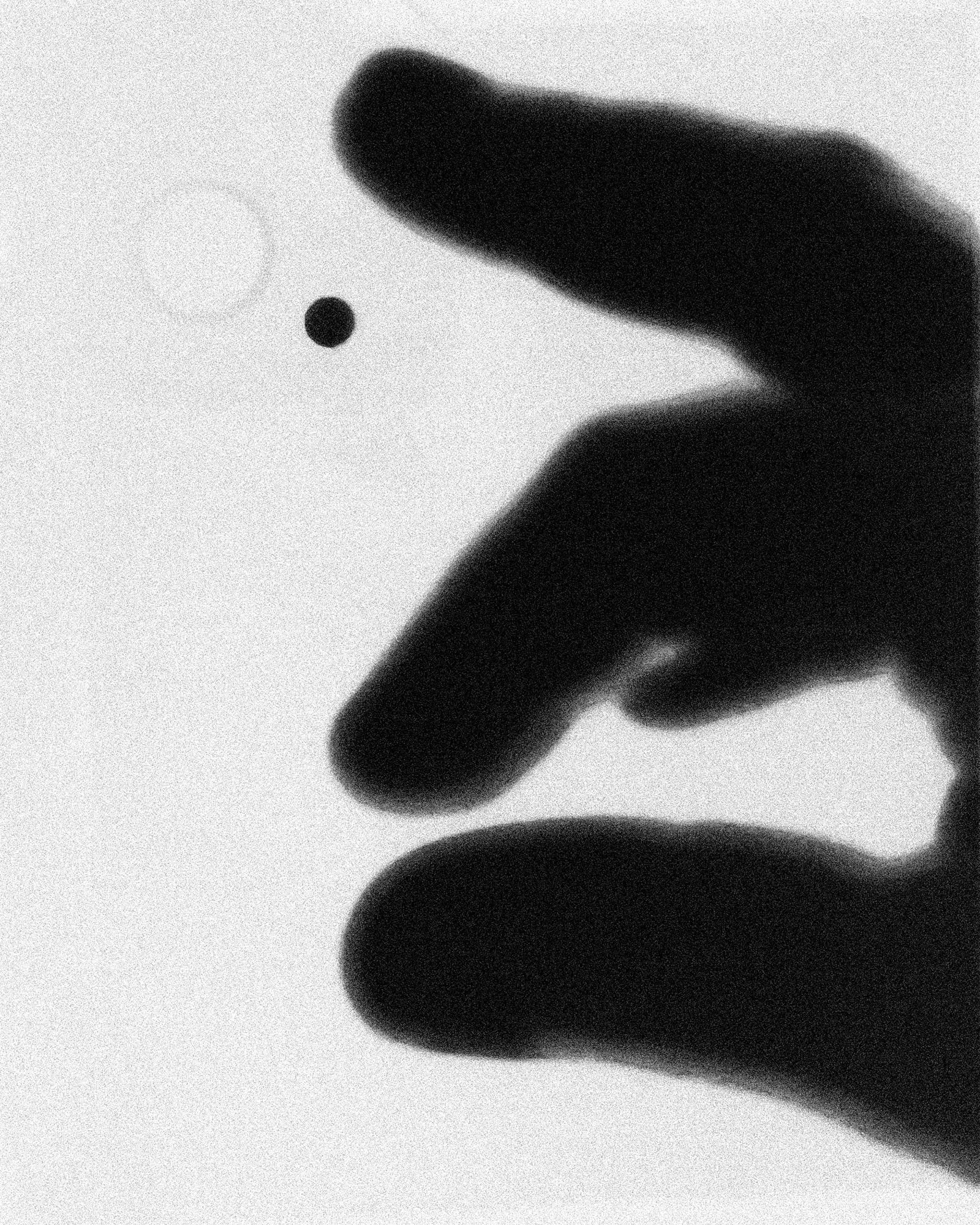 Проект «As long as the Sun lasts» Эрики Бардин (Erica Bardin). Private image