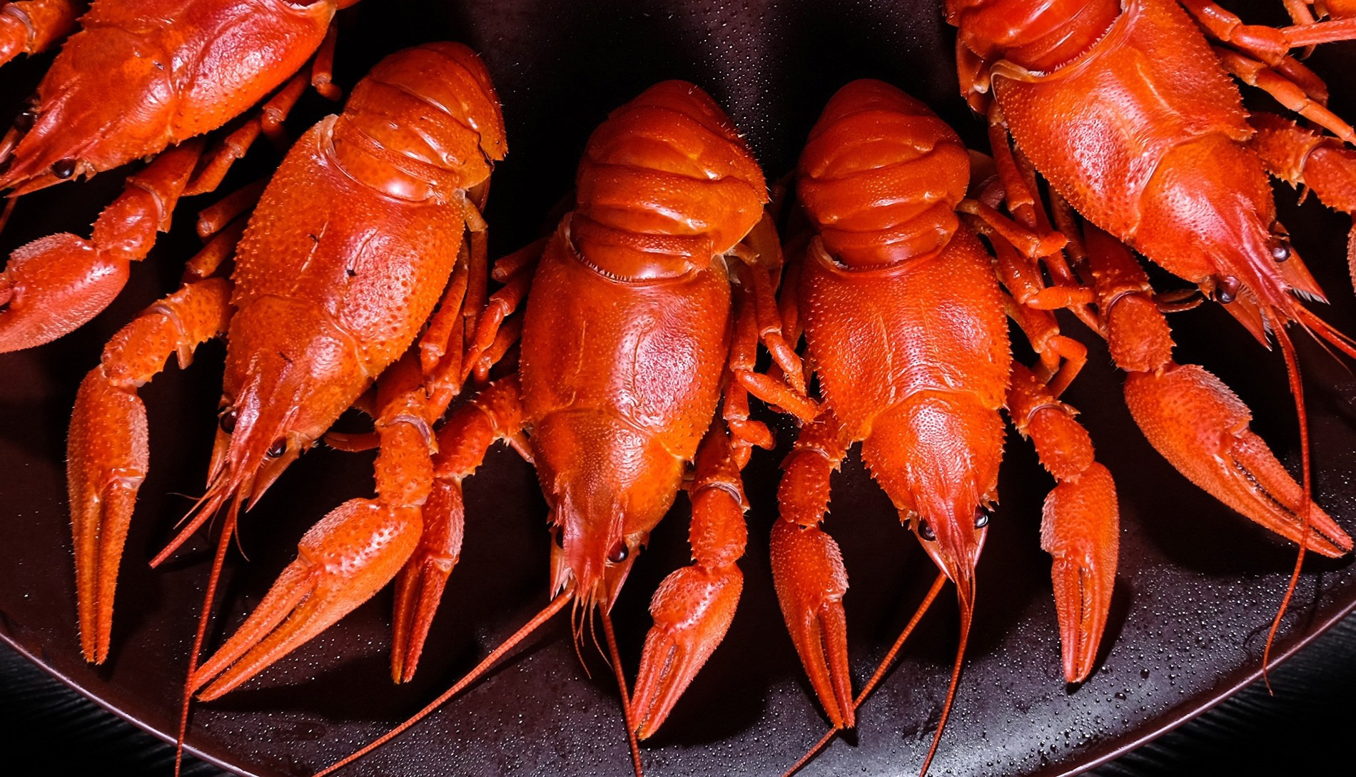 Фотосъемка мяса и рыбы. Съемка консервов. Предметный фотограф Киров. Съемка для маркетплейсов