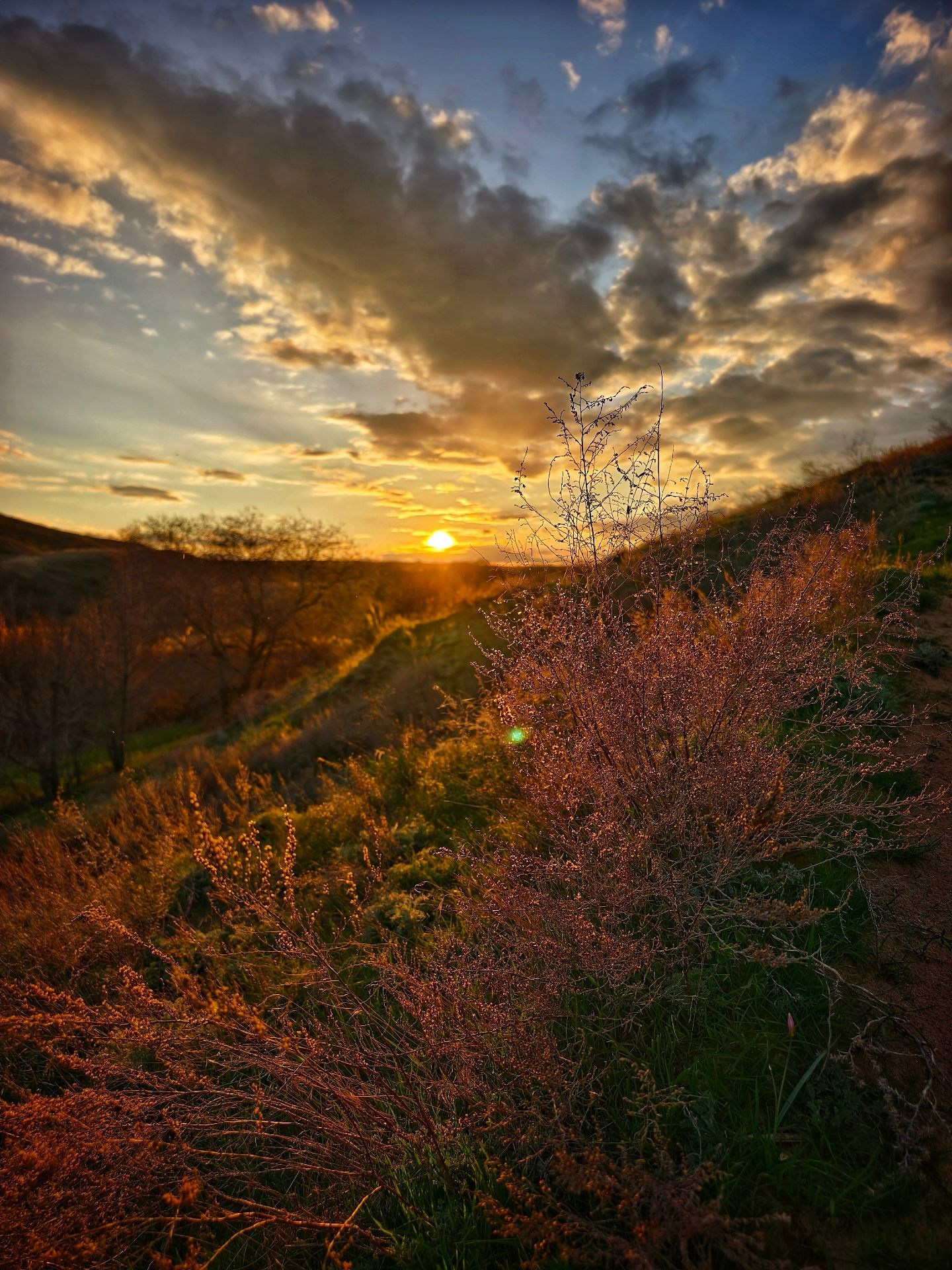 Солнце опускается за горизонт, освещая облака и сухую траву тёплым золотистым светом