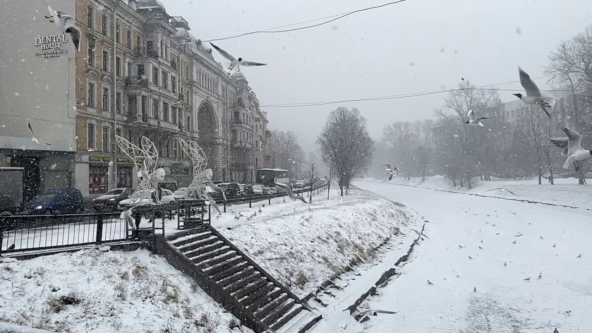 Видео. Художник — скульптор Антонина Фатхуллина