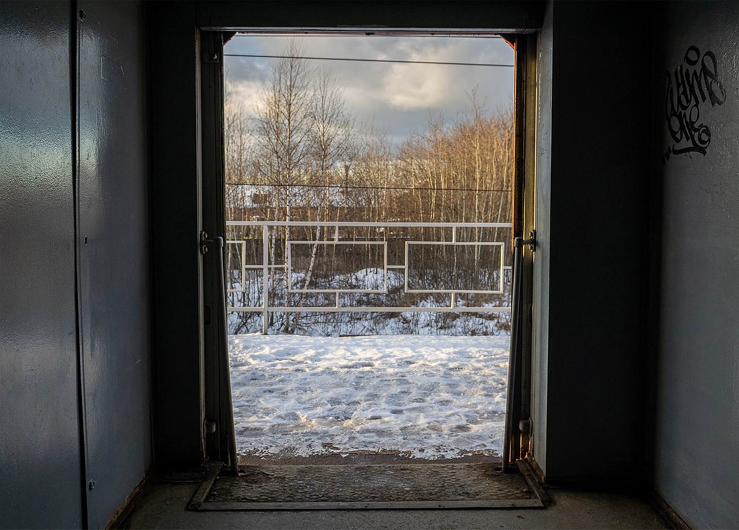 Стася Дмитриева «Москва-Петушки». Самоорганизация Низина