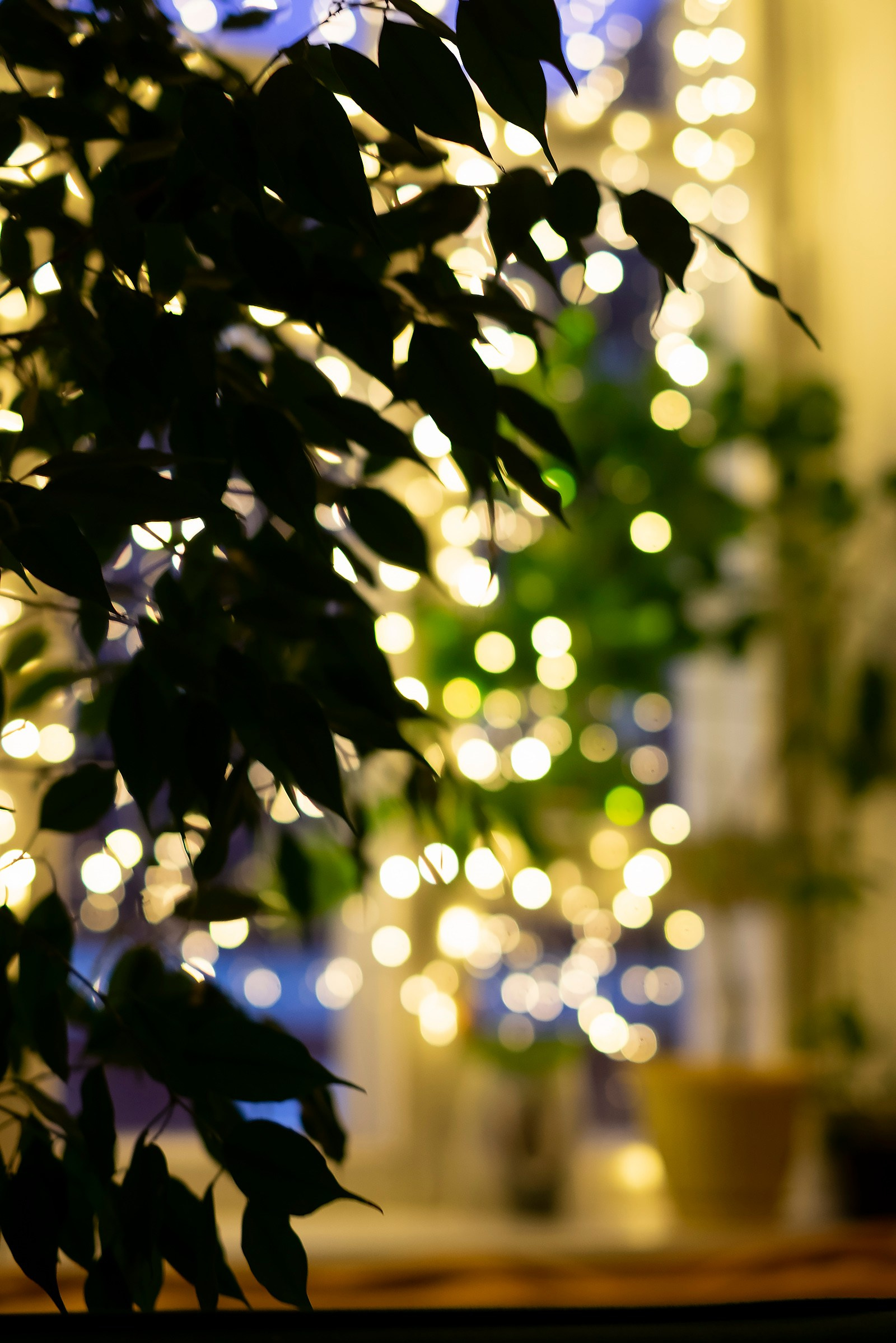 Фотограф в Раменском, фотостудия в Раменском. Фототерапия «Пульс СЧАСТЬЯ»