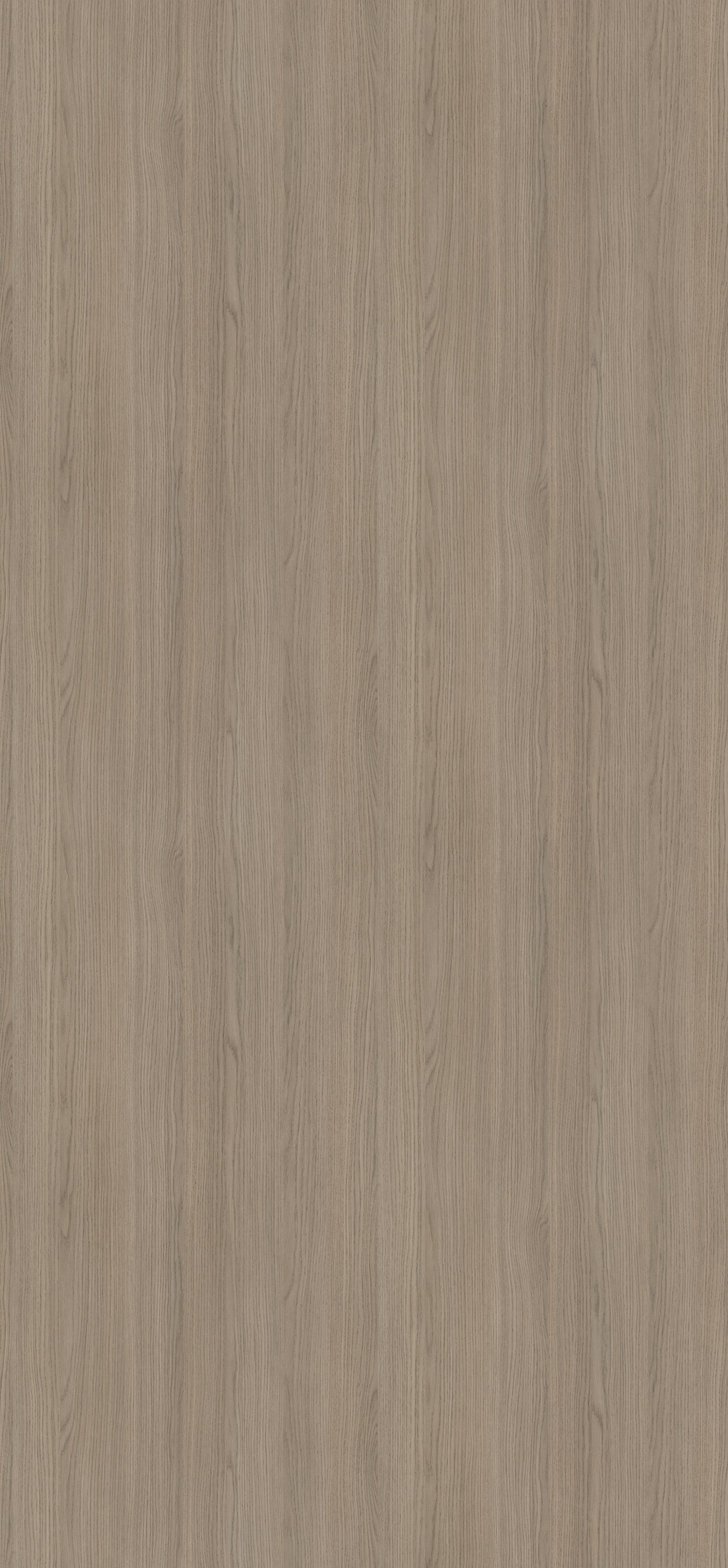 EGGER. Главная