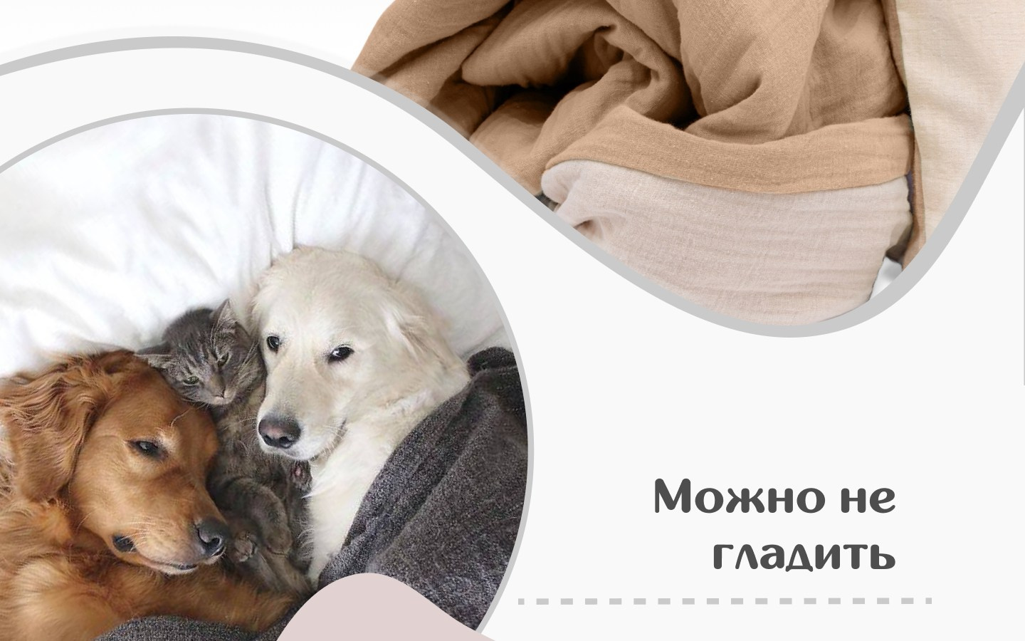 Инфографика для маркетплейсов. Фотограф Виталий Хайлов, Екатеринбург