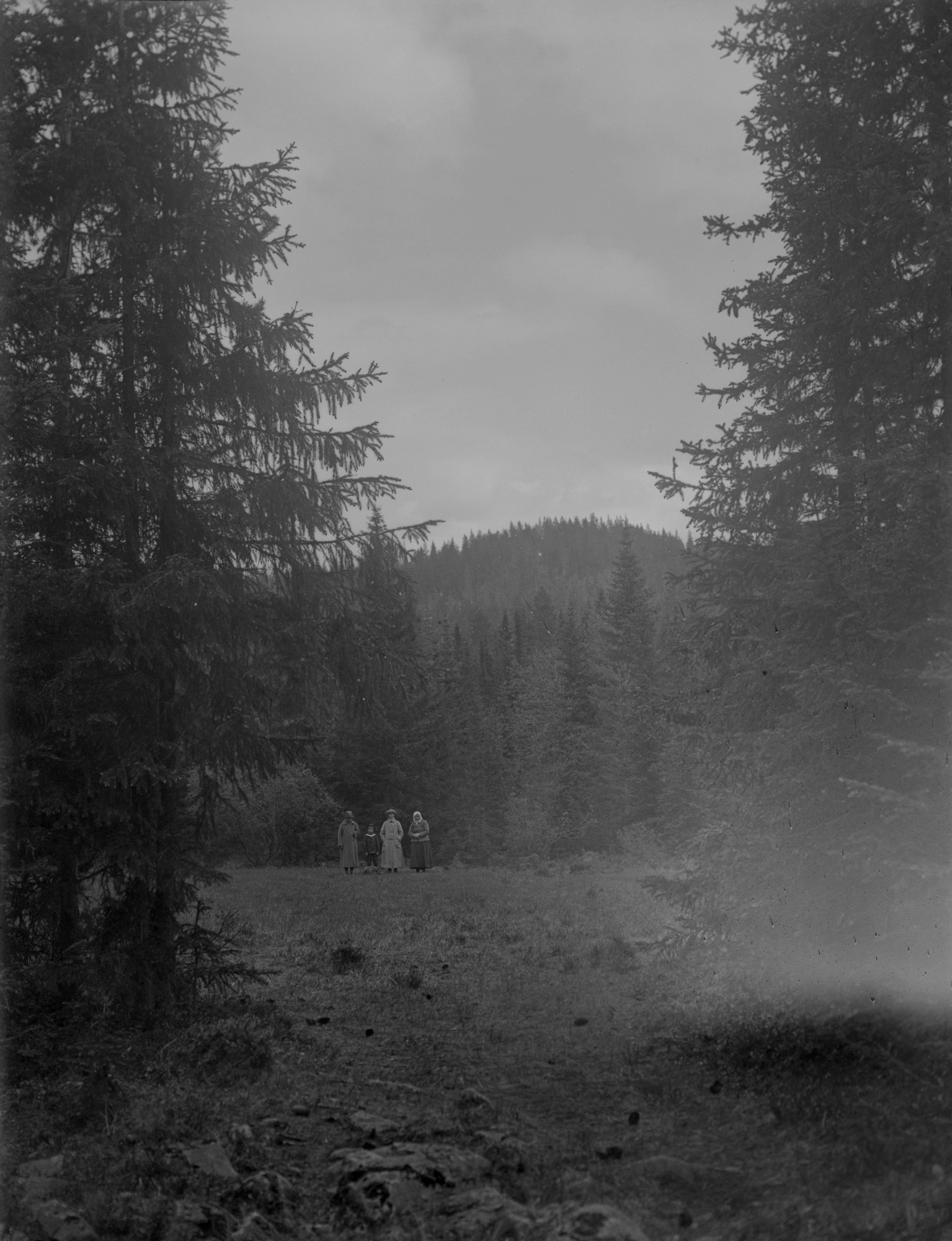 INTERVIEW WITH THE ARTIST: Maja Daniels. Самоорганизация Низина