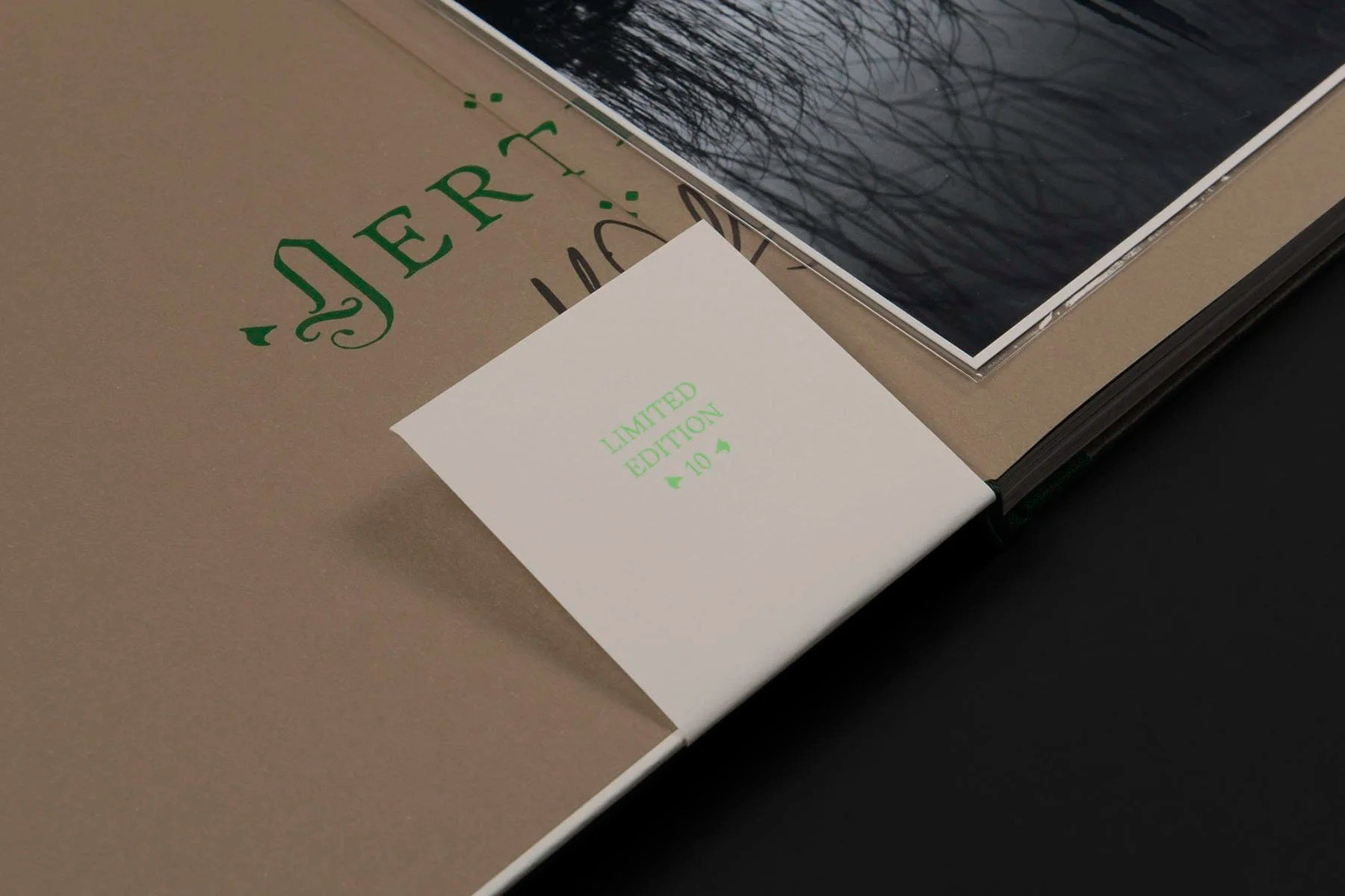 ИНТЕРВЬЮ С АВТОРАМИ: Maja Daniels. Самоорганизация Низина