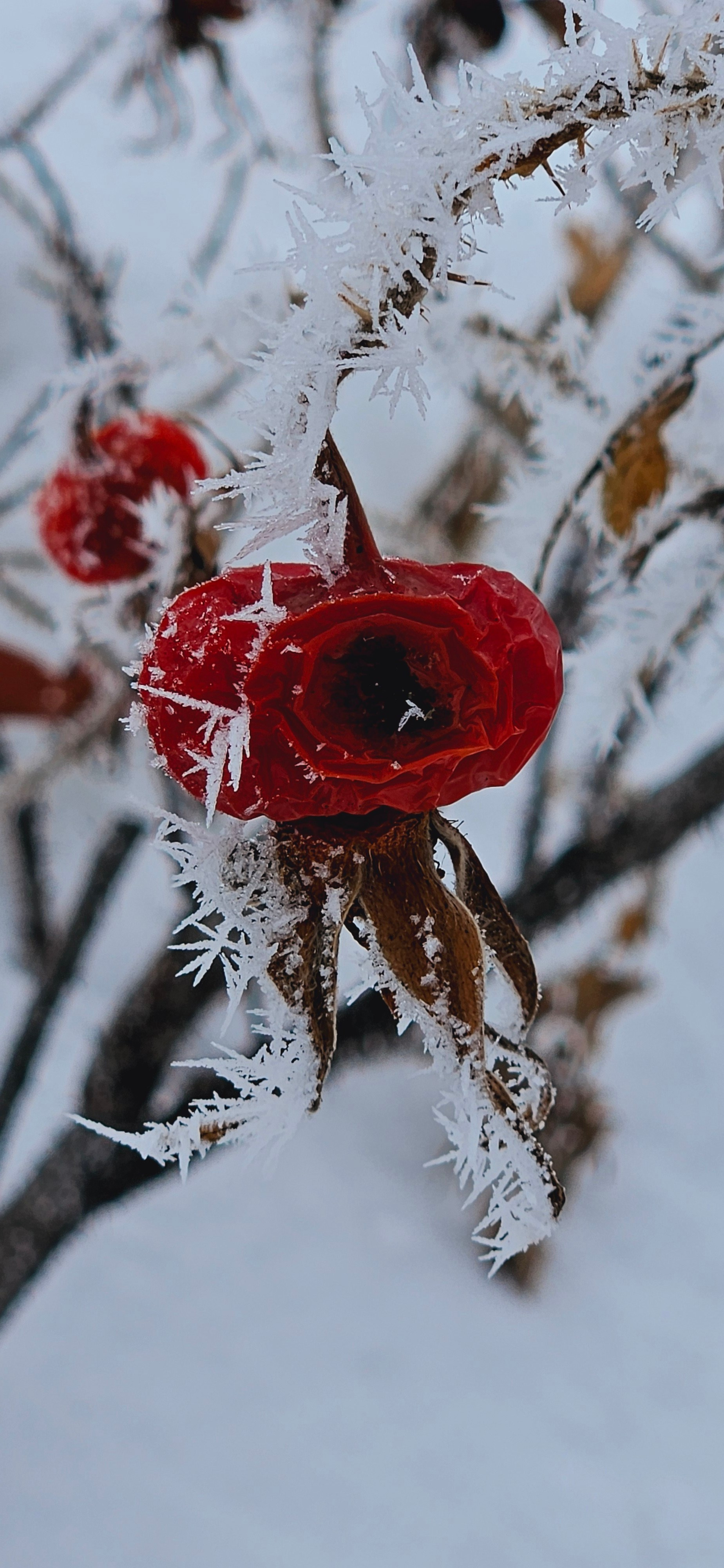 Ростов-на-Дону «МИР В ДЕТАЛЯХ». ARTEXPOPHOTO