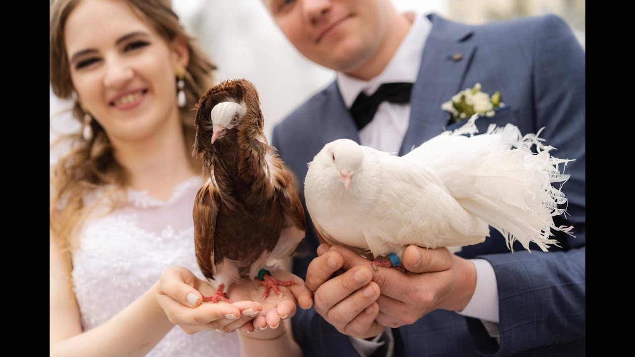 Наталья и Владимир. Фотограф Нижний Тагил Екатеринбург Марина Малышева