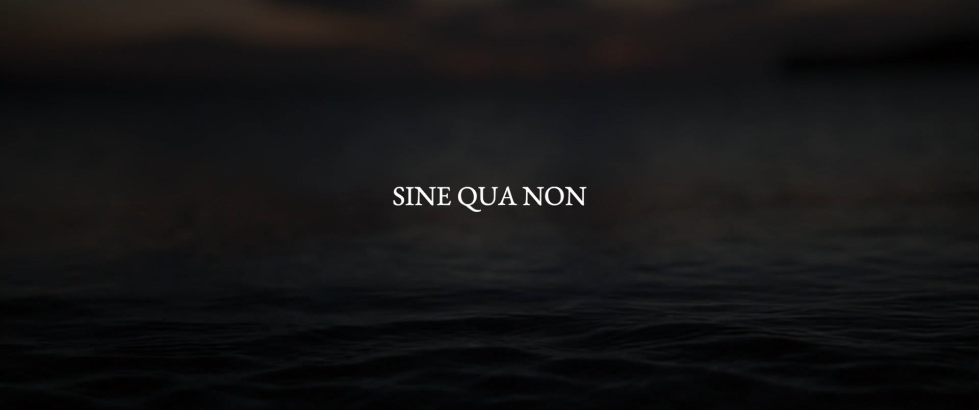 Видео. Автор фото и видео Кристина Гапоненко