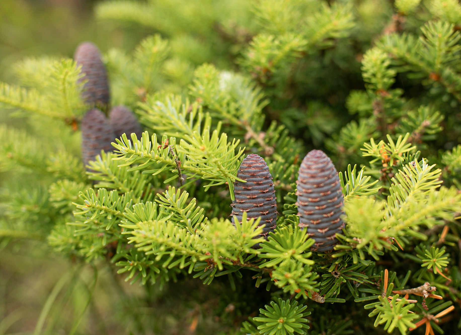 Парк-заповедник Купидон. Семейный фотограф в Димитровграде Елена Патрушева