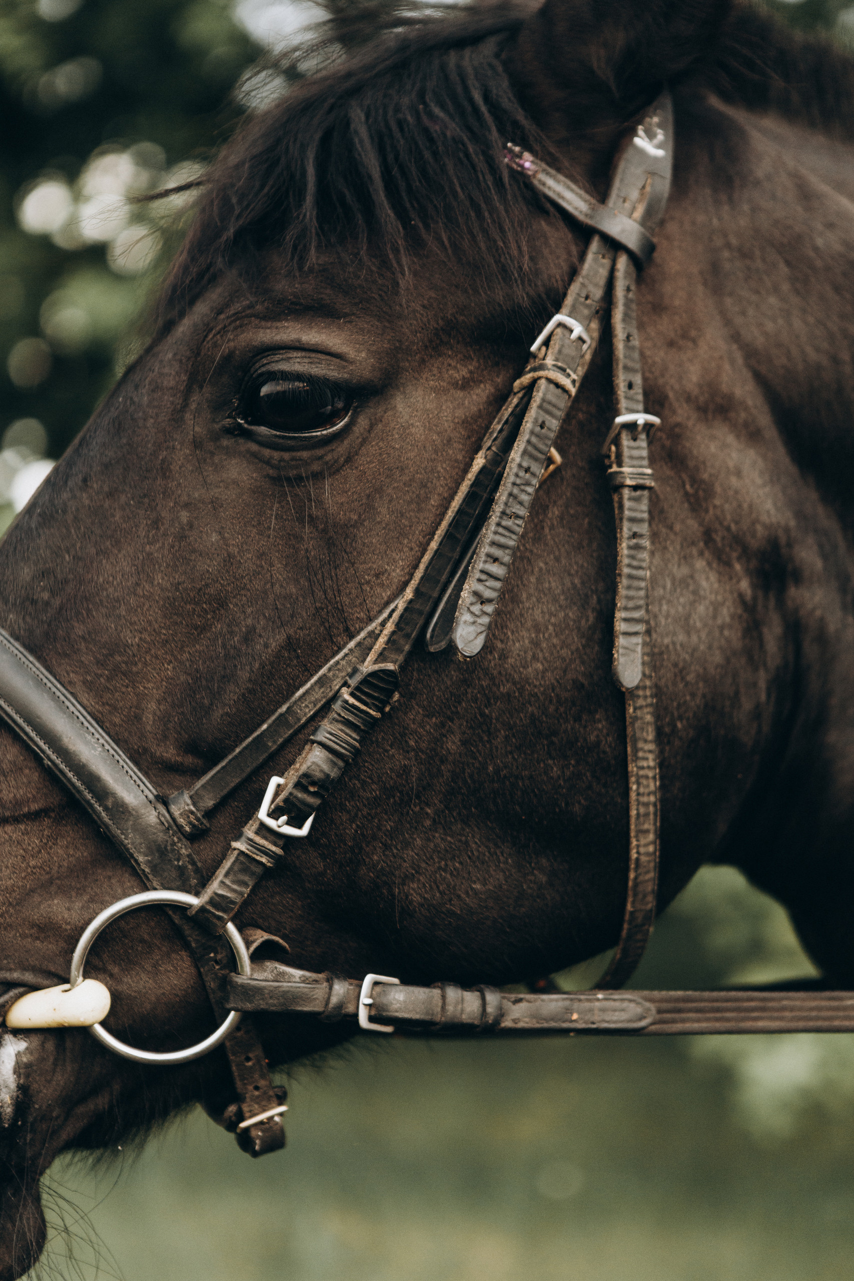 A&A. Пушистая Сова - Свадебный и портретный фотограф Воронеж, Москва, Питер