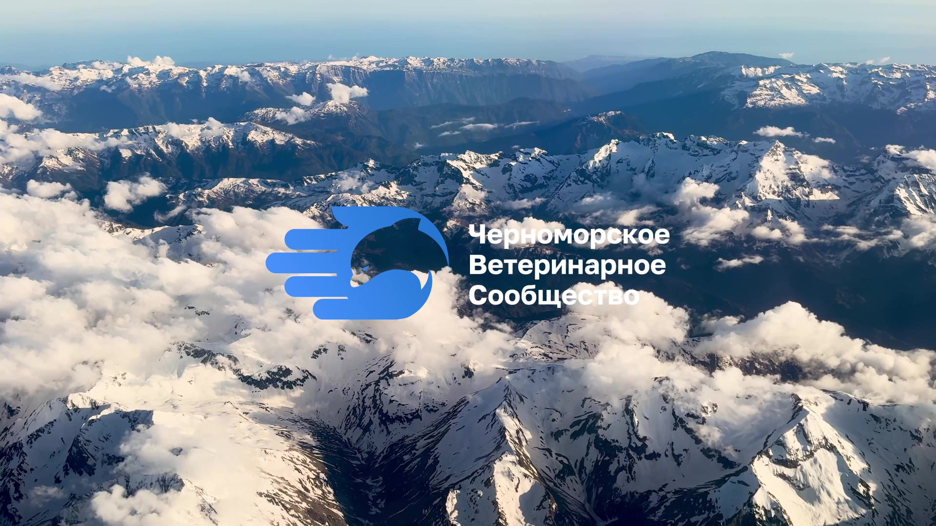 Мероприятия. Видеограф Евгения Климова Джейн Джек видео Екатеринбург