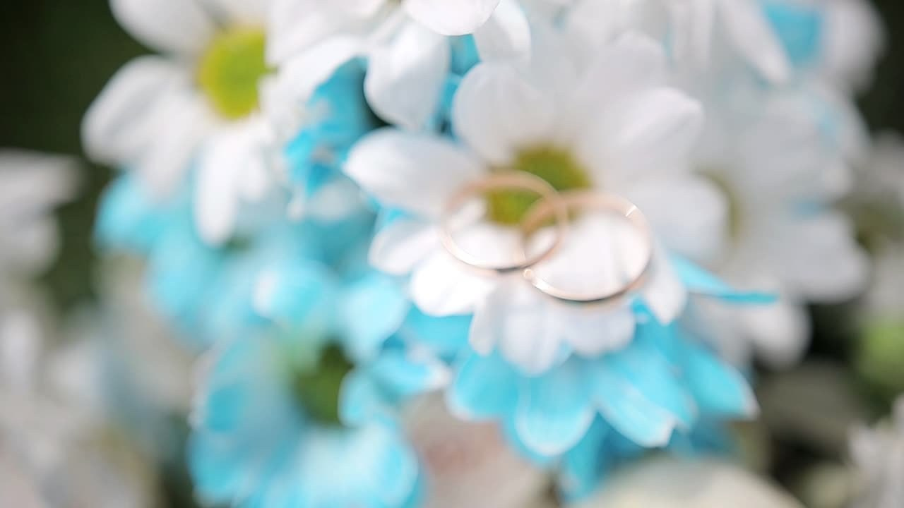 ВИДЕО. Свадебный фотограф/видеограф Александр Кабанов. Школьный фотограф. Фото и видеосъемка