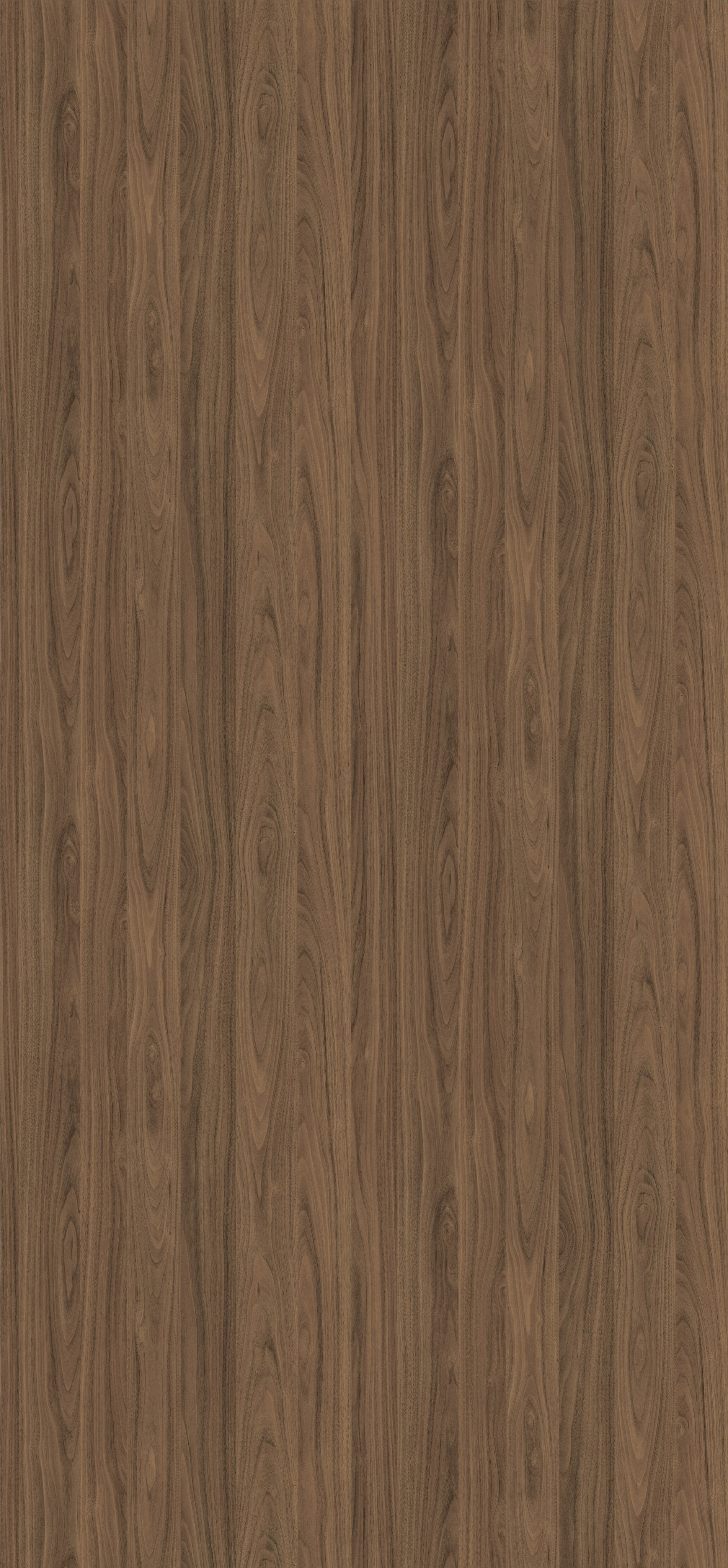 EGGER. Главная