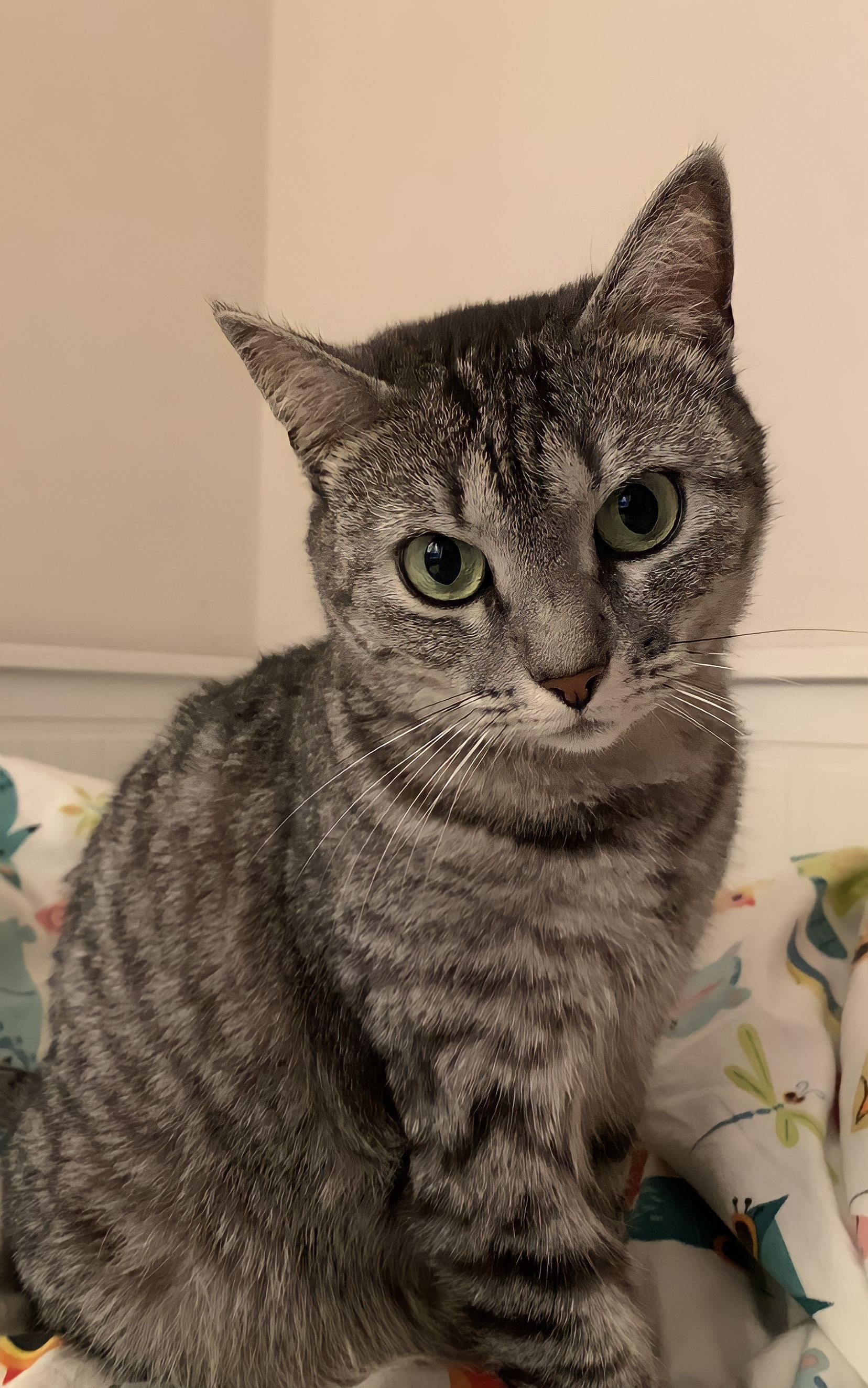 Отзывы. Студия выпускных альбомов Остров