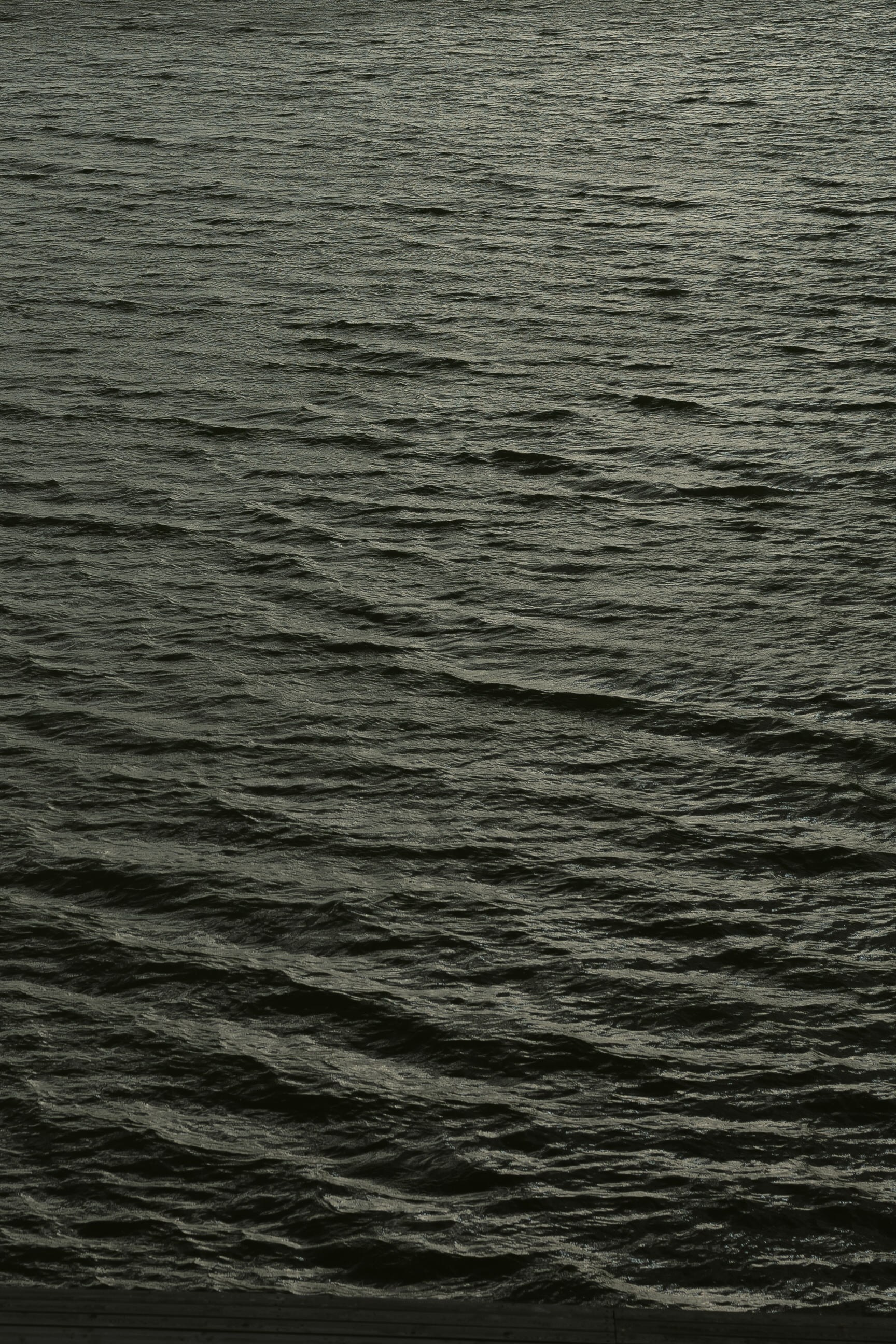 Вероника & Иннокентий. Yura Rush Свадебный фотограф Тюмень