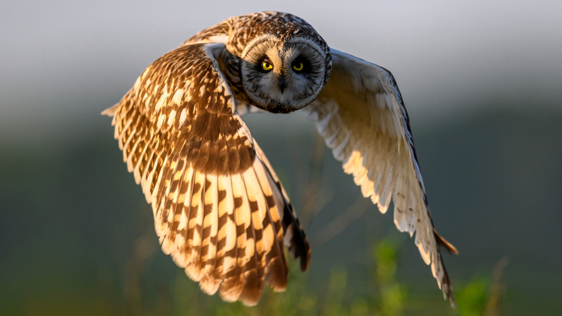 Сила локальных проектов. Выступление на Первозданной России. Фотограф Сергей Пупонин