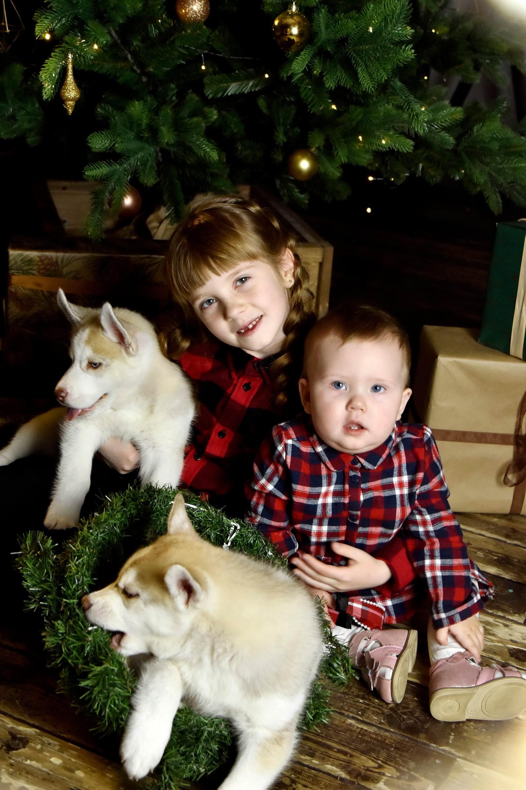 Семейны фотограф Самары и Самарской области