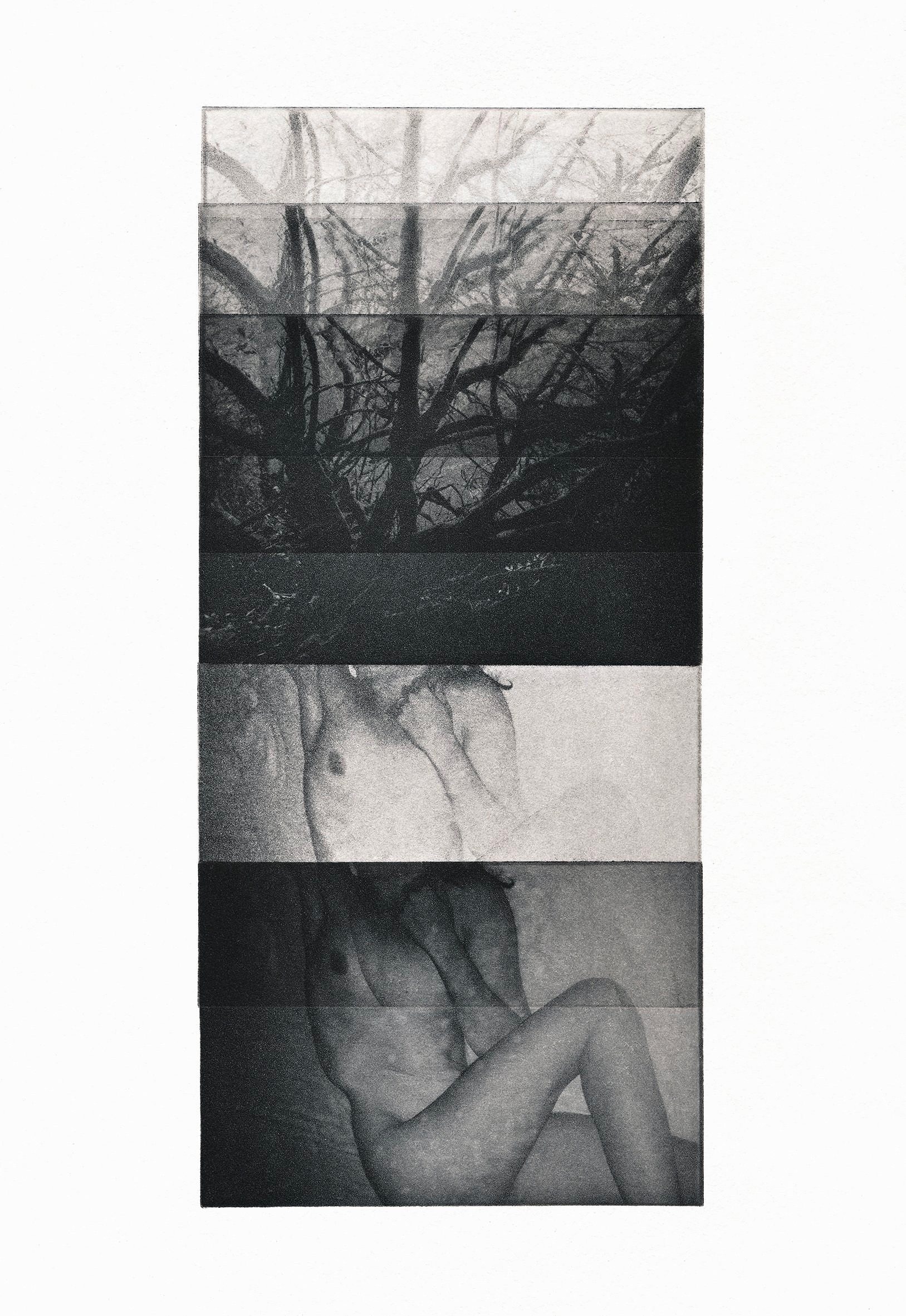 Проект «Black Cloud» Джули ван дер Ваарт. Private image