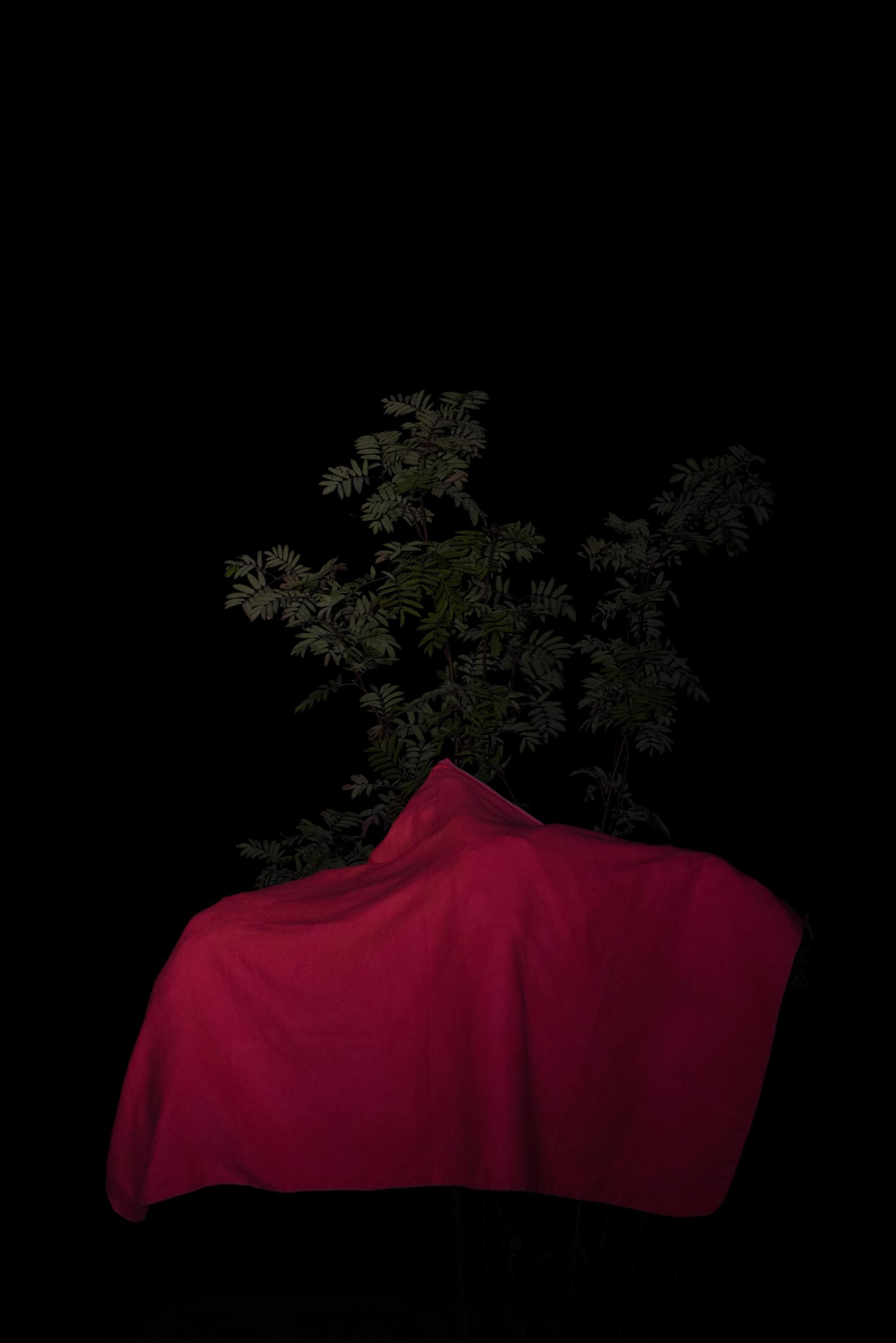 Анжелика Кондратьева