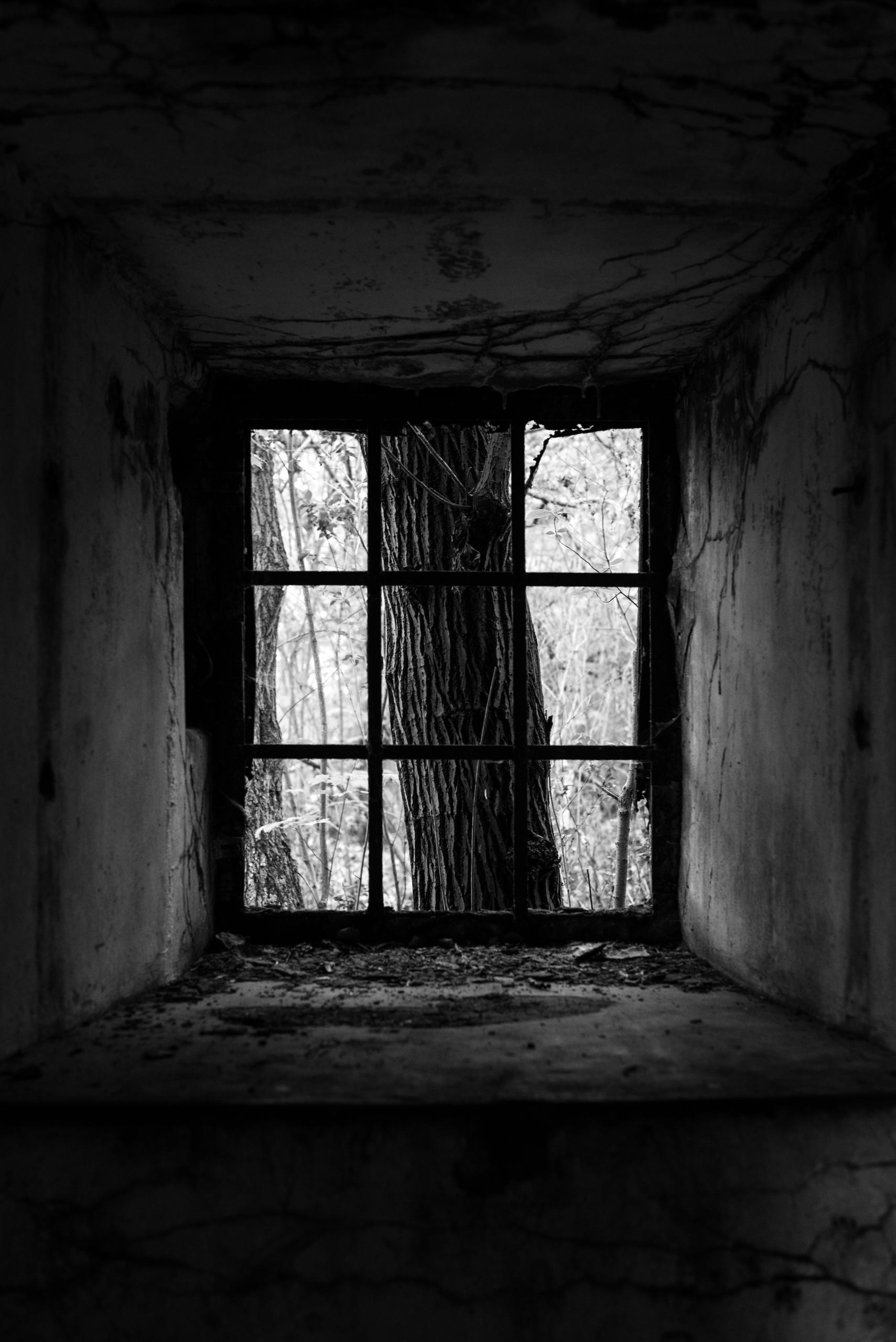 Анжелика Кондратьева