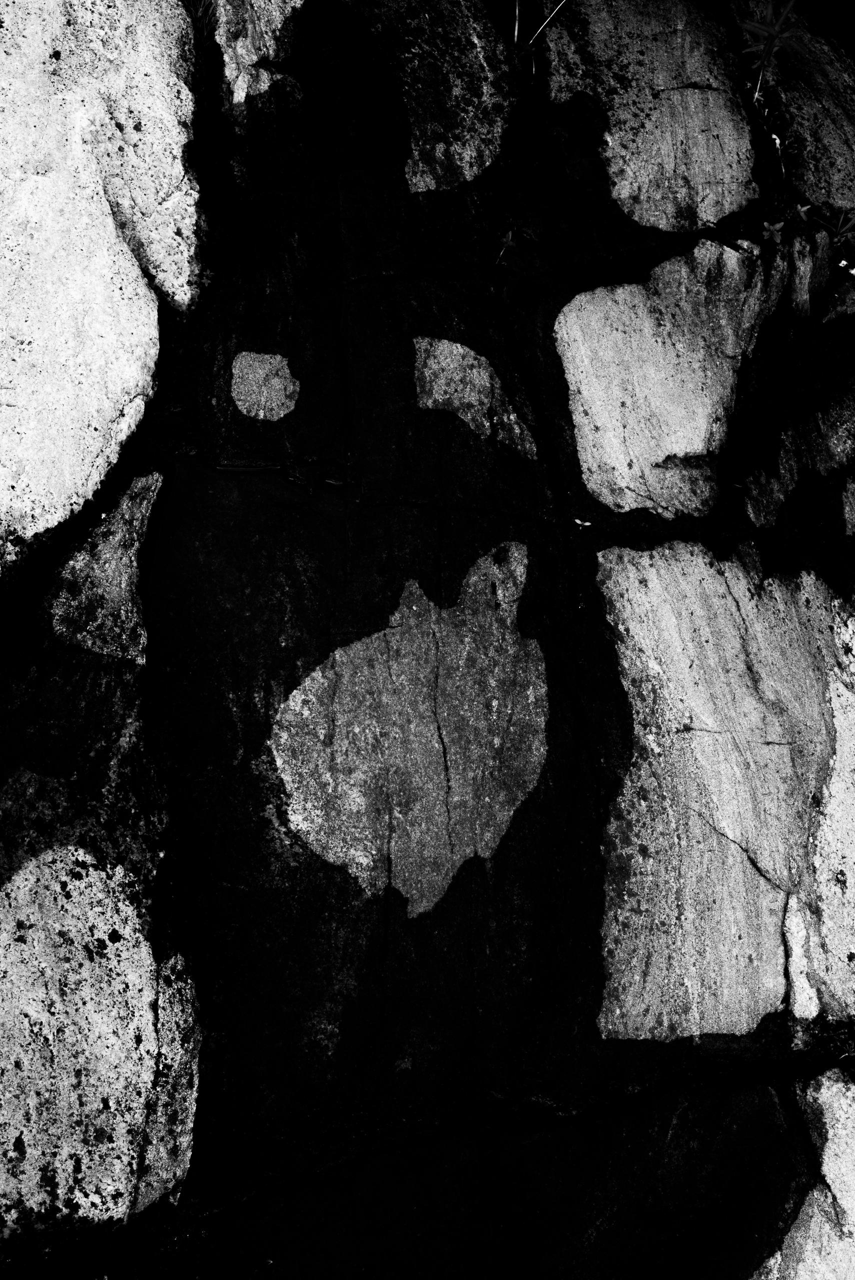 Анжелика Кондратьева