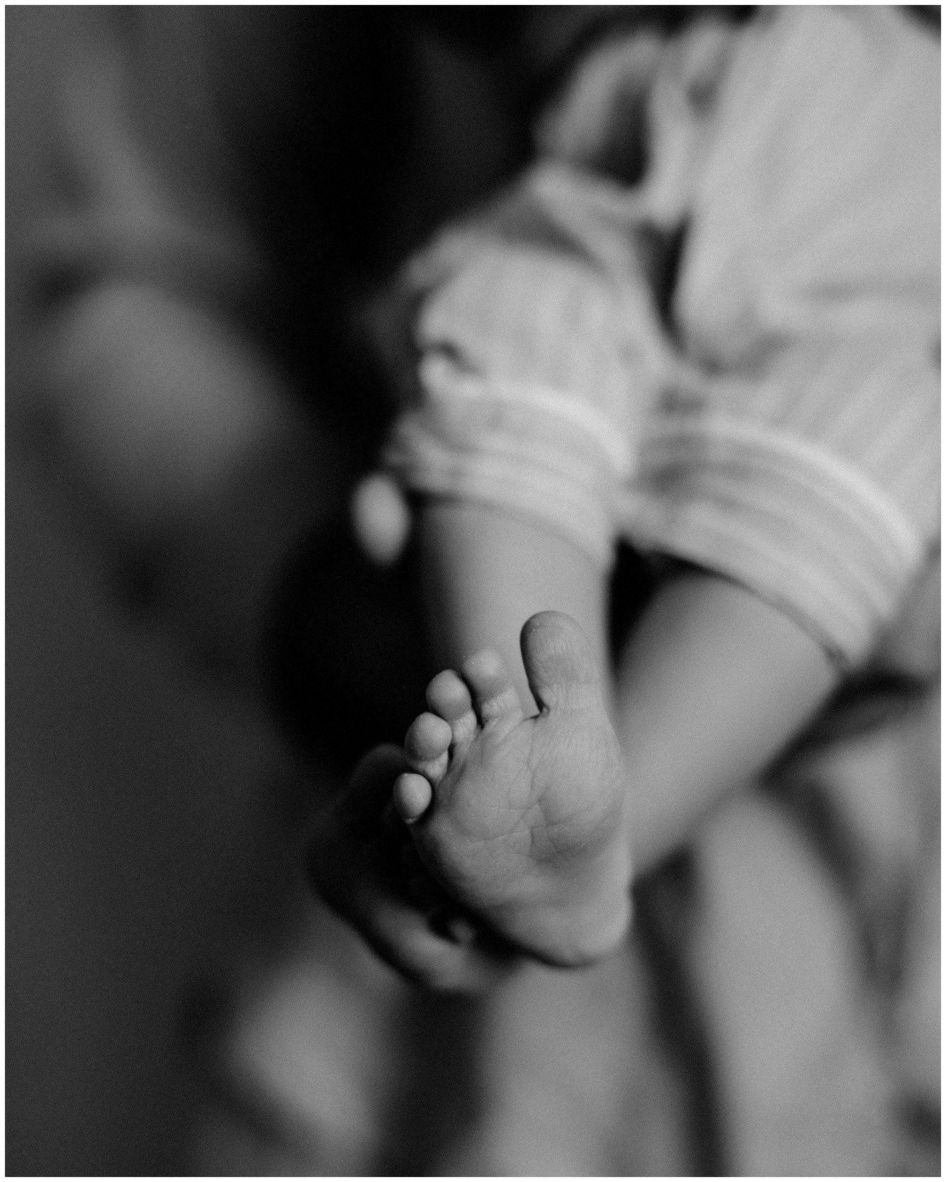 Леша, Настя, Ярослав. домашняя съемка. Фотограф в Москве Емельяненко Светлана