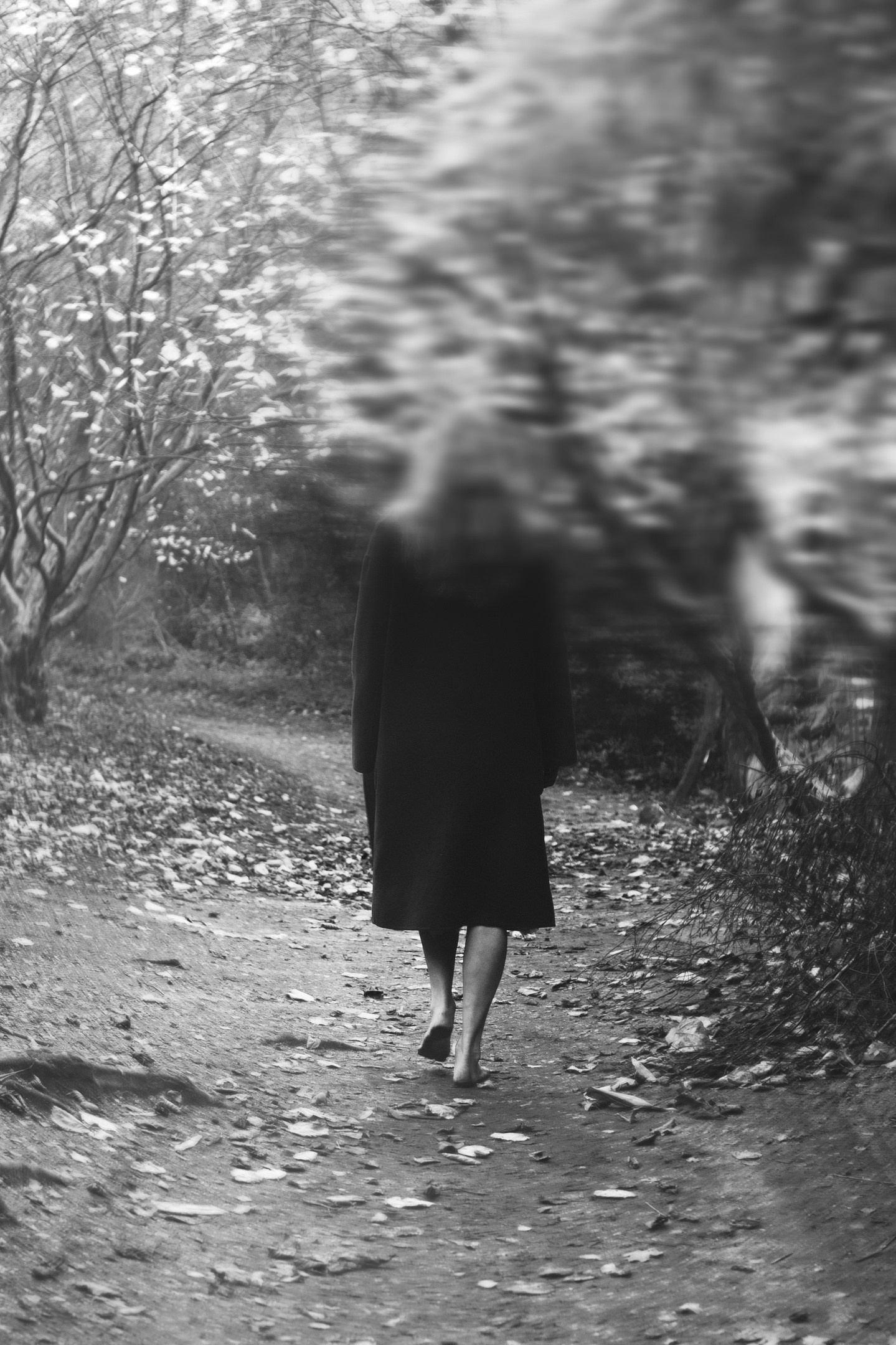 автор: Оксана Мерзликина