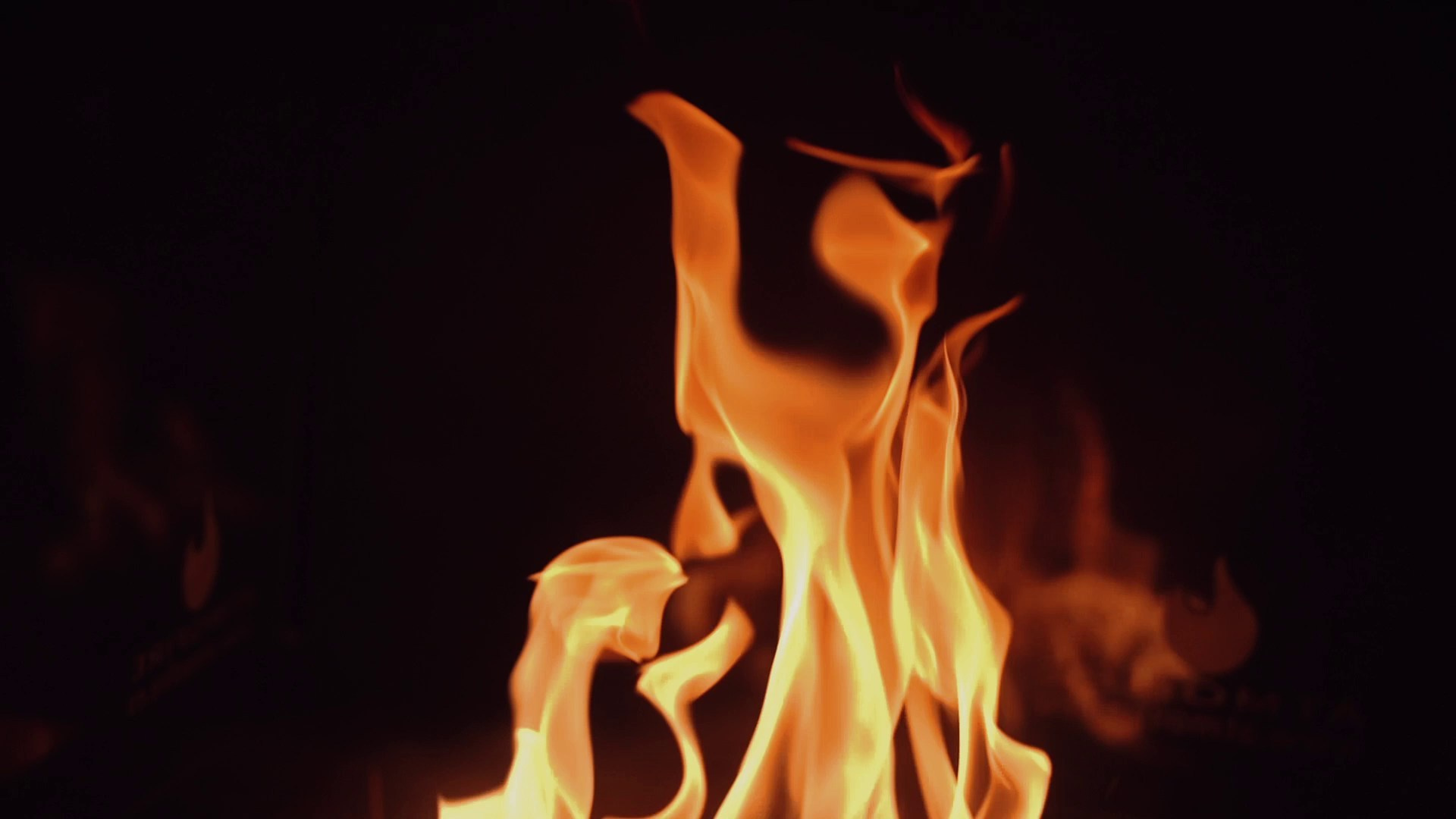 Свадебный видеограф Москва Николай Слободянюк