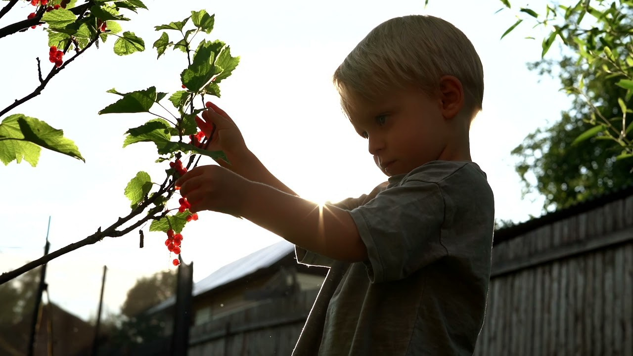 ВИДЕО. Контент Фото Видео Москва