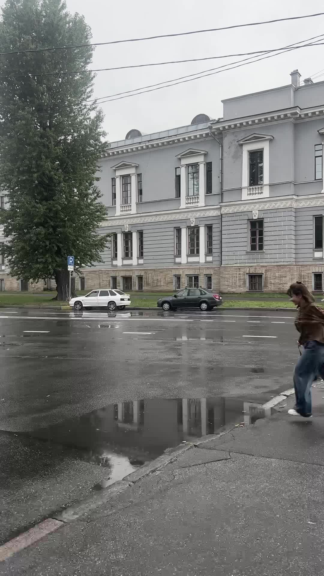 Все пресеты VN | Эффект плёнки. Кинематографичный фотограф, видеограф Лина Плешакова, Санкт-Петербург