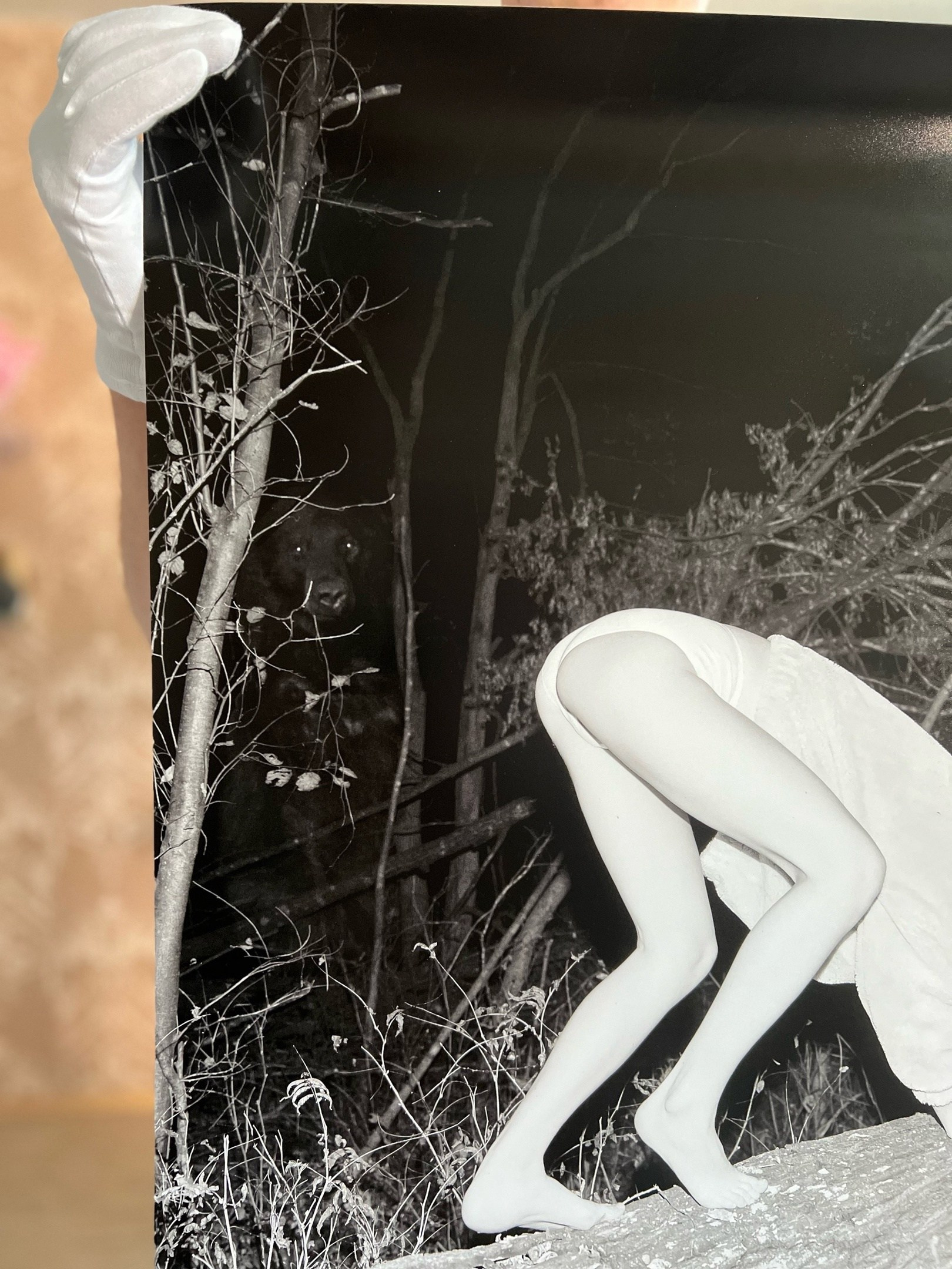 Медведи. Созданов Максим фотограф во Владивостоке