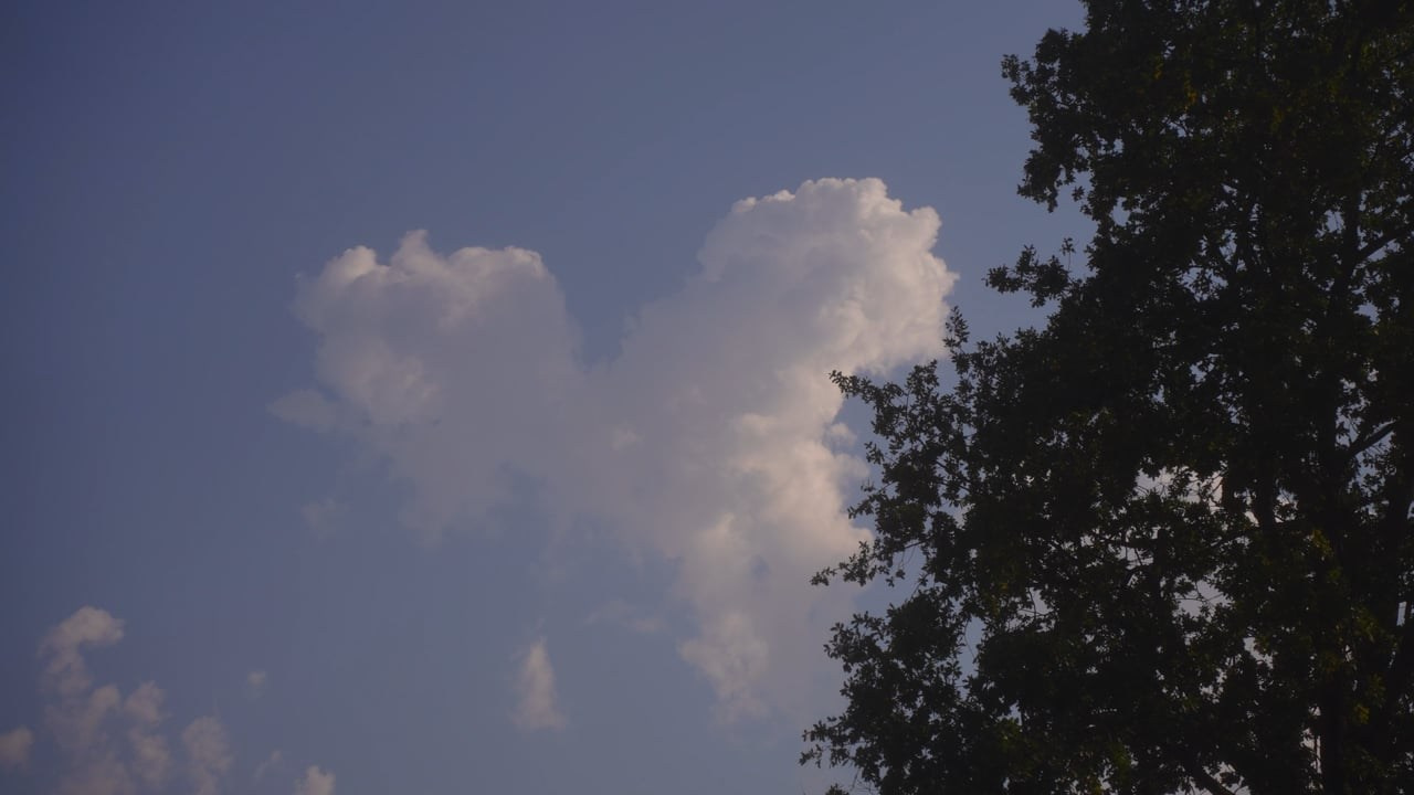 Елизавета и Владислав. Агата Акварель видеограф Сочи Краснодар