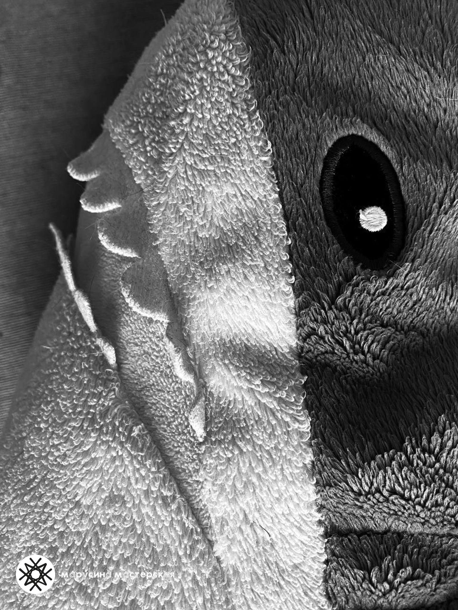 Евгения Островская