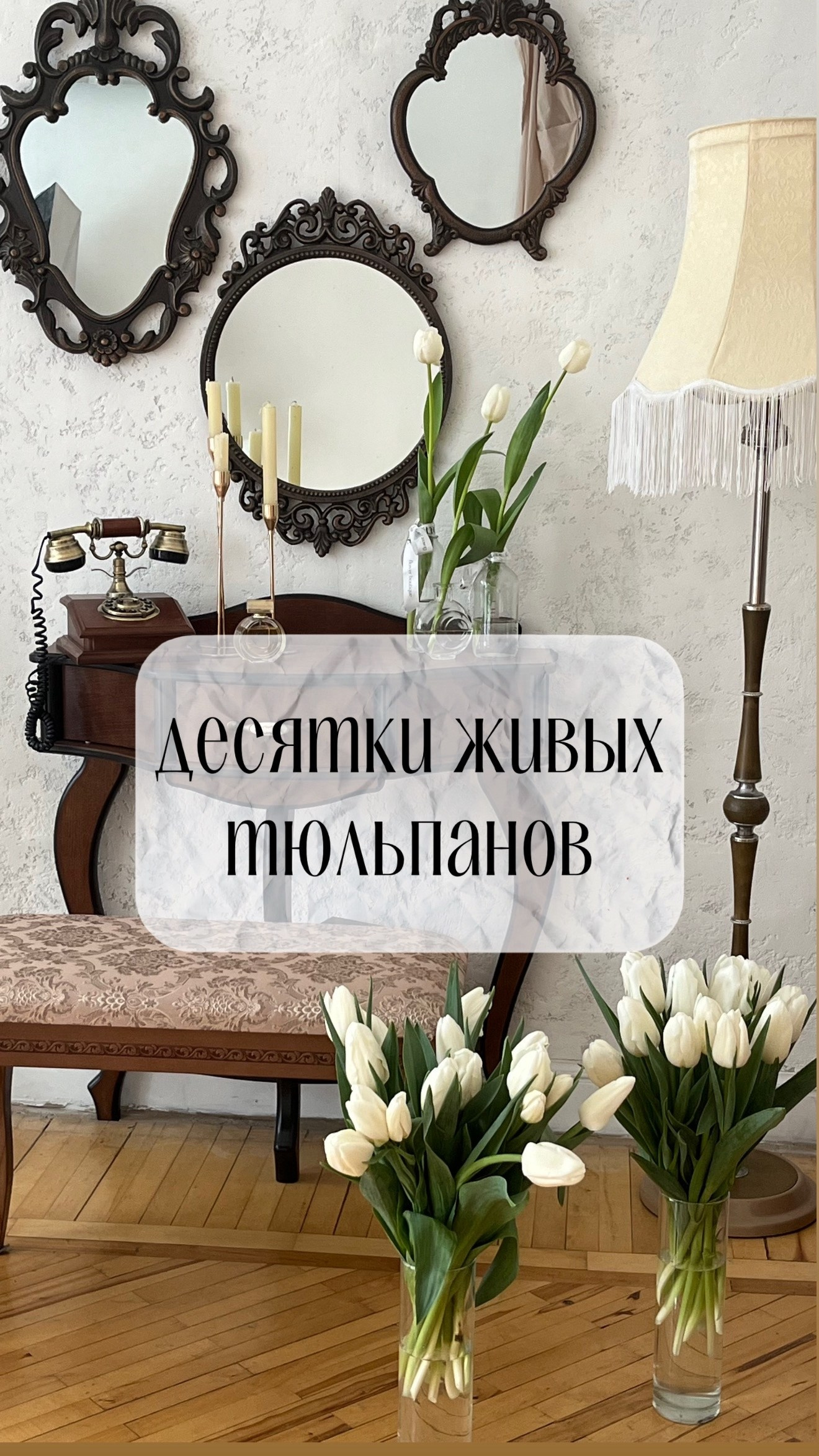 Фотостудия в Симферополе