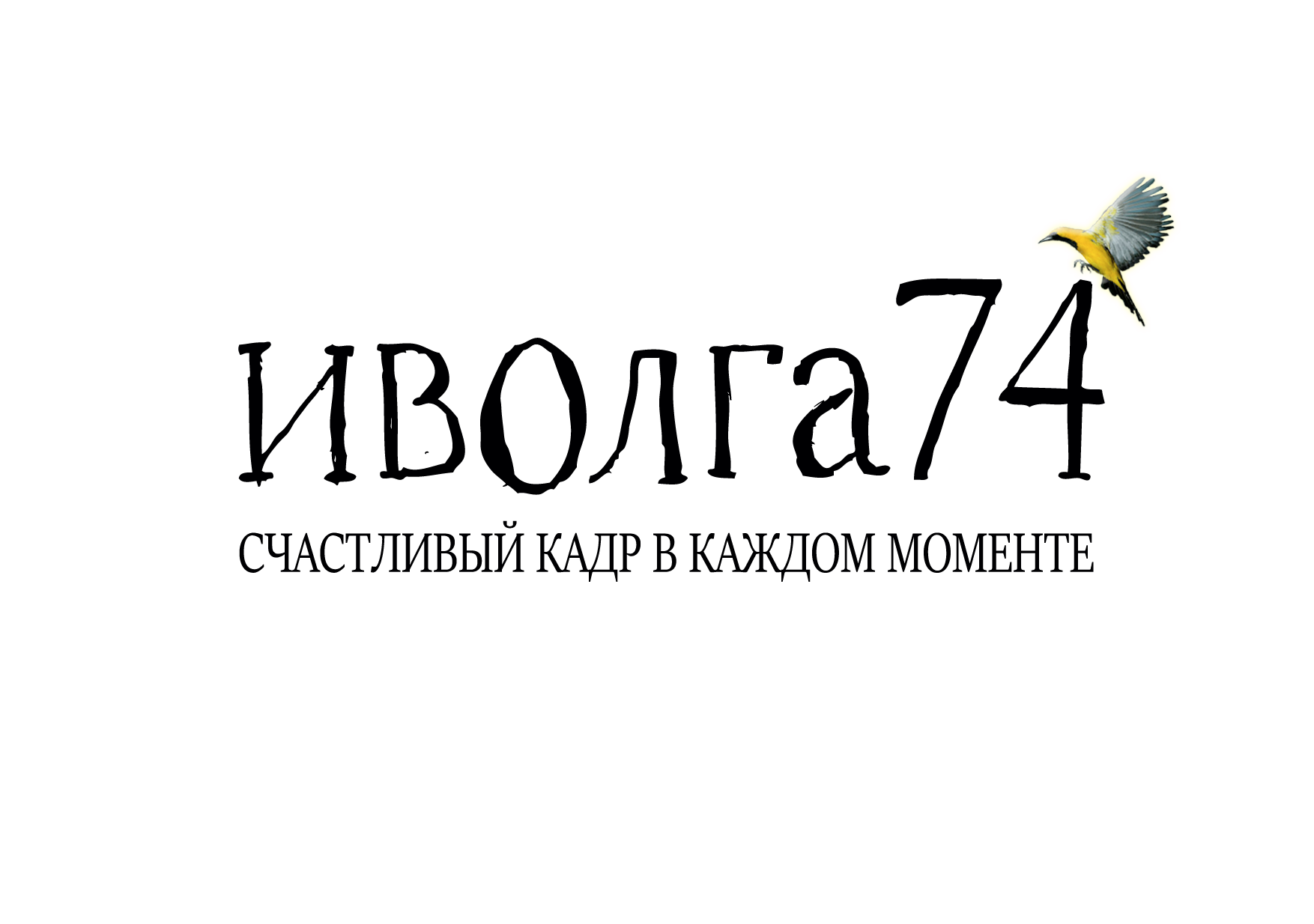 Отзывы. Счастливый кадр