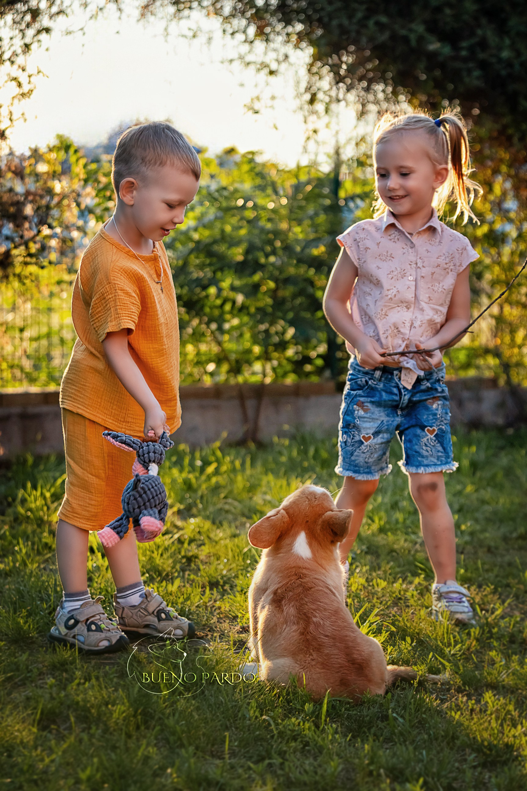 Щенки вельш корги пемброк из питомника. Питомник собак Акита, Хаски, Корги