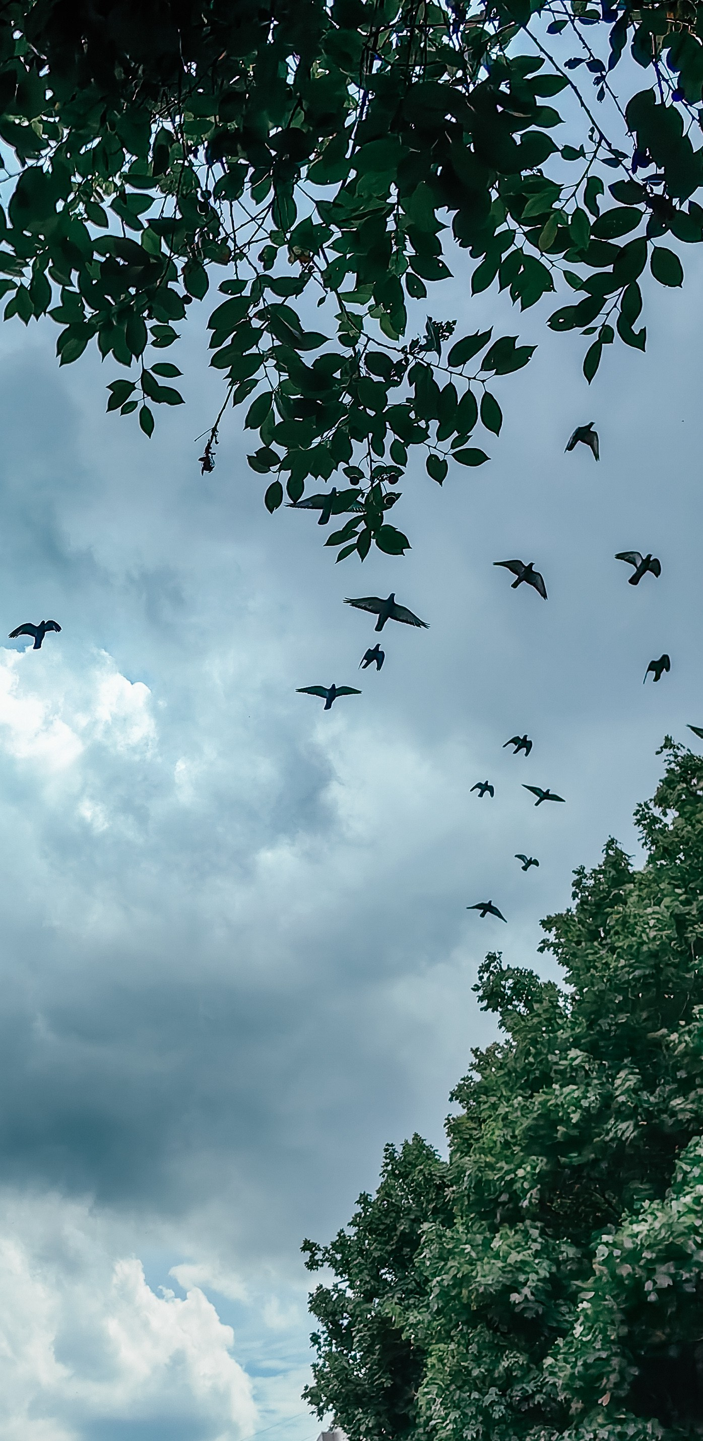 Академия фотографии. Фото/Ретушь/Обучение